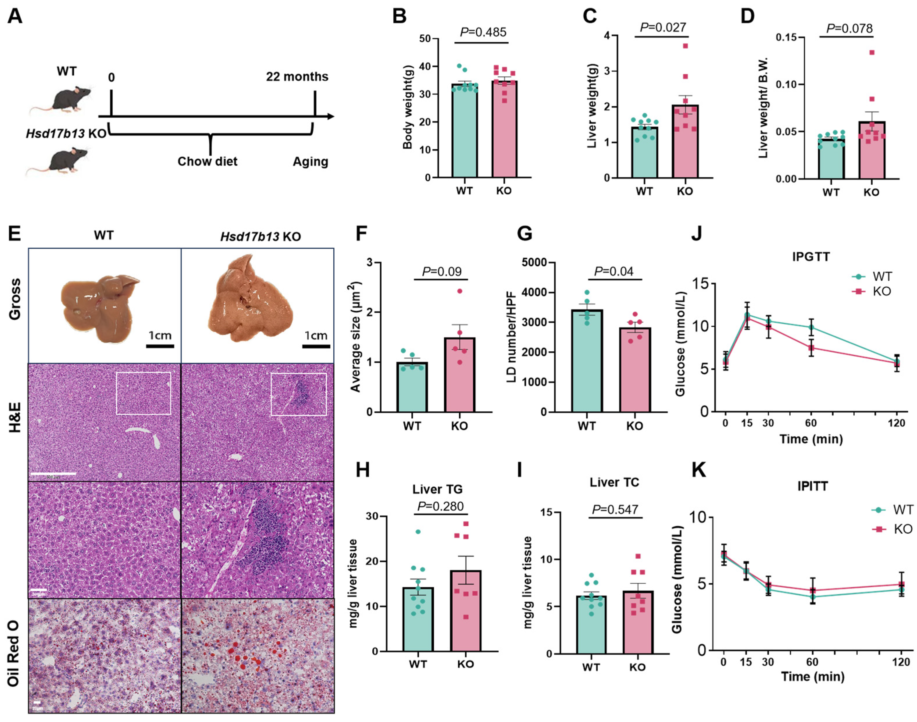 Metabolites 15 00353 g001