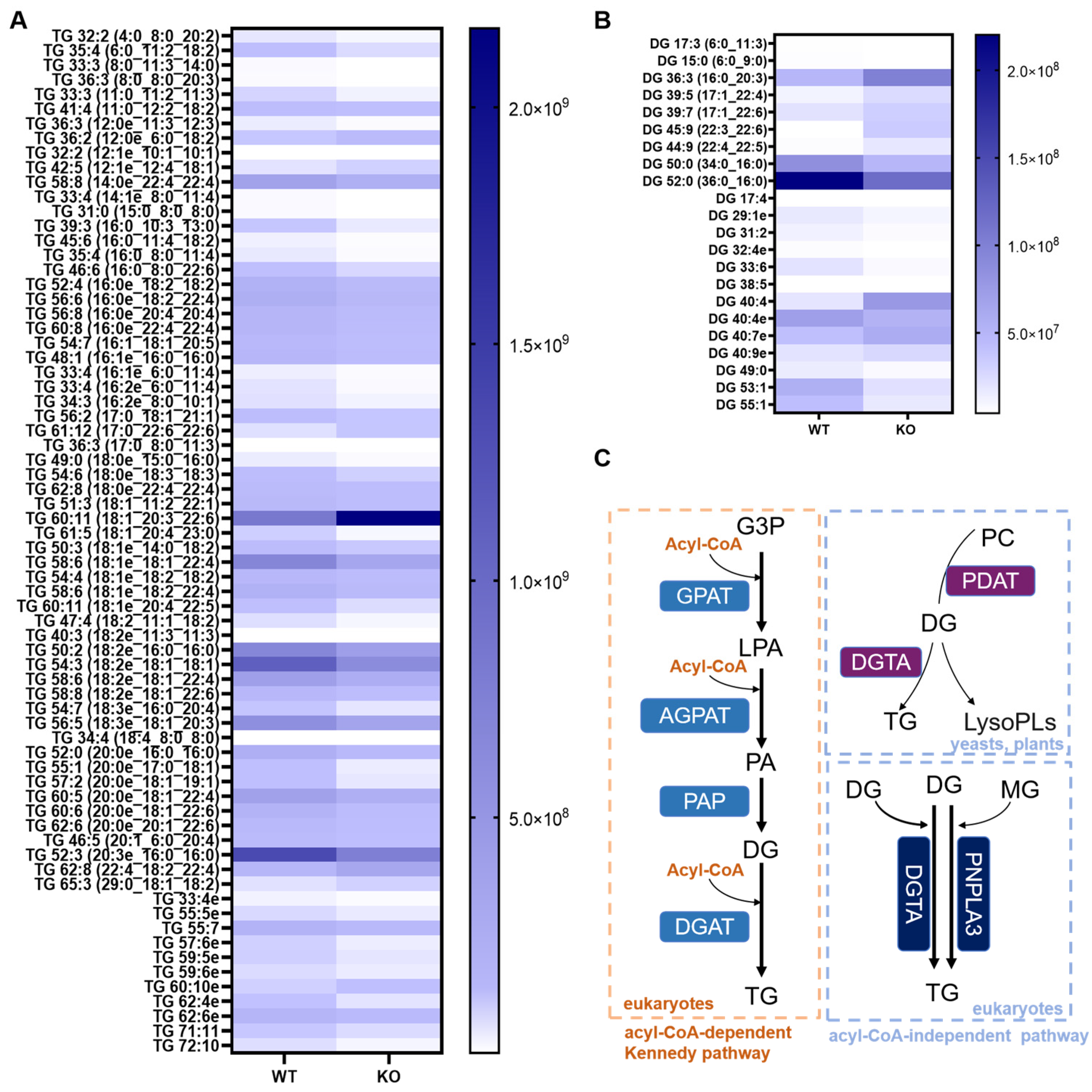 Metabolites 15 00353 g003
