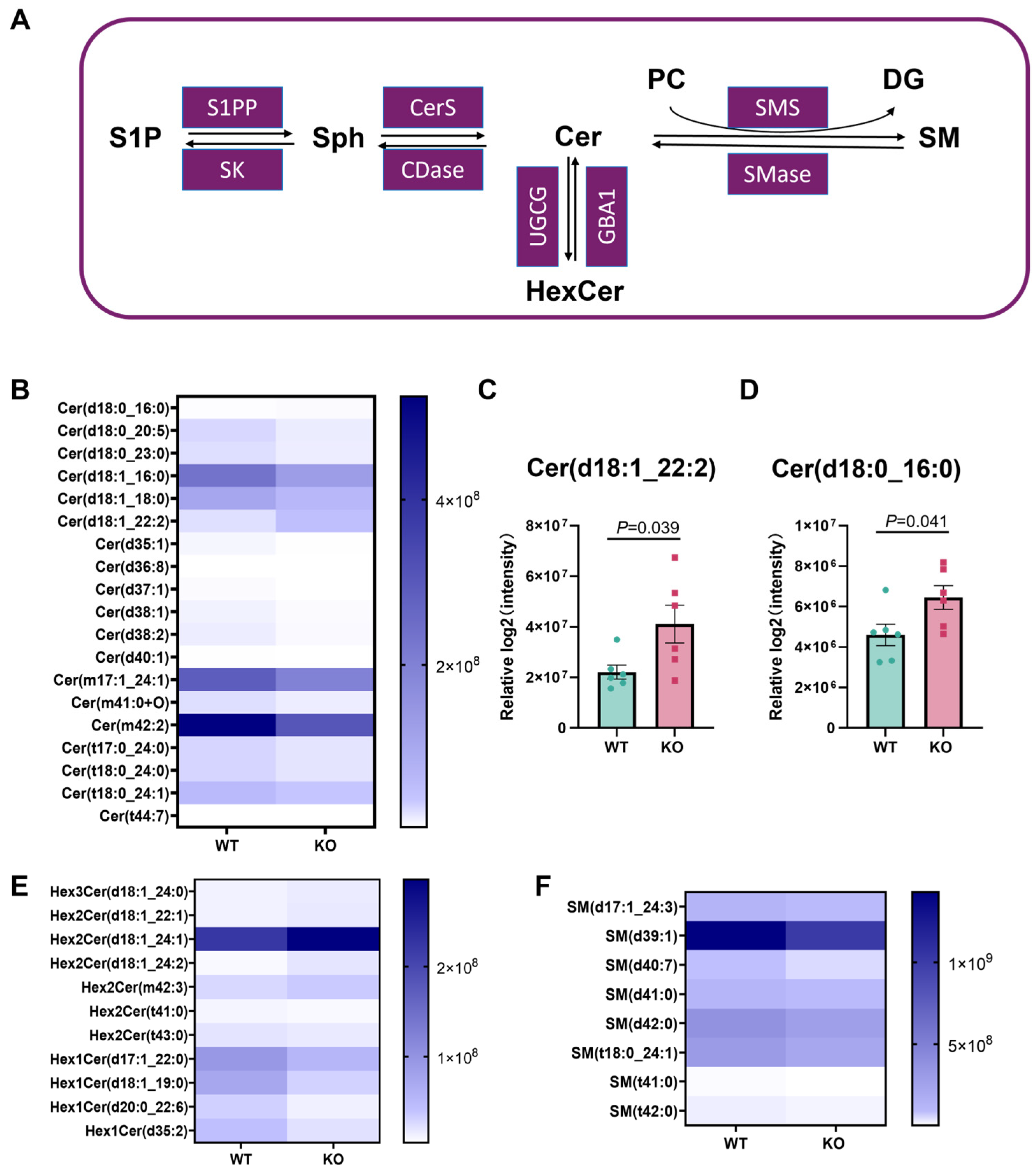 Metabolites 15 00353 g005