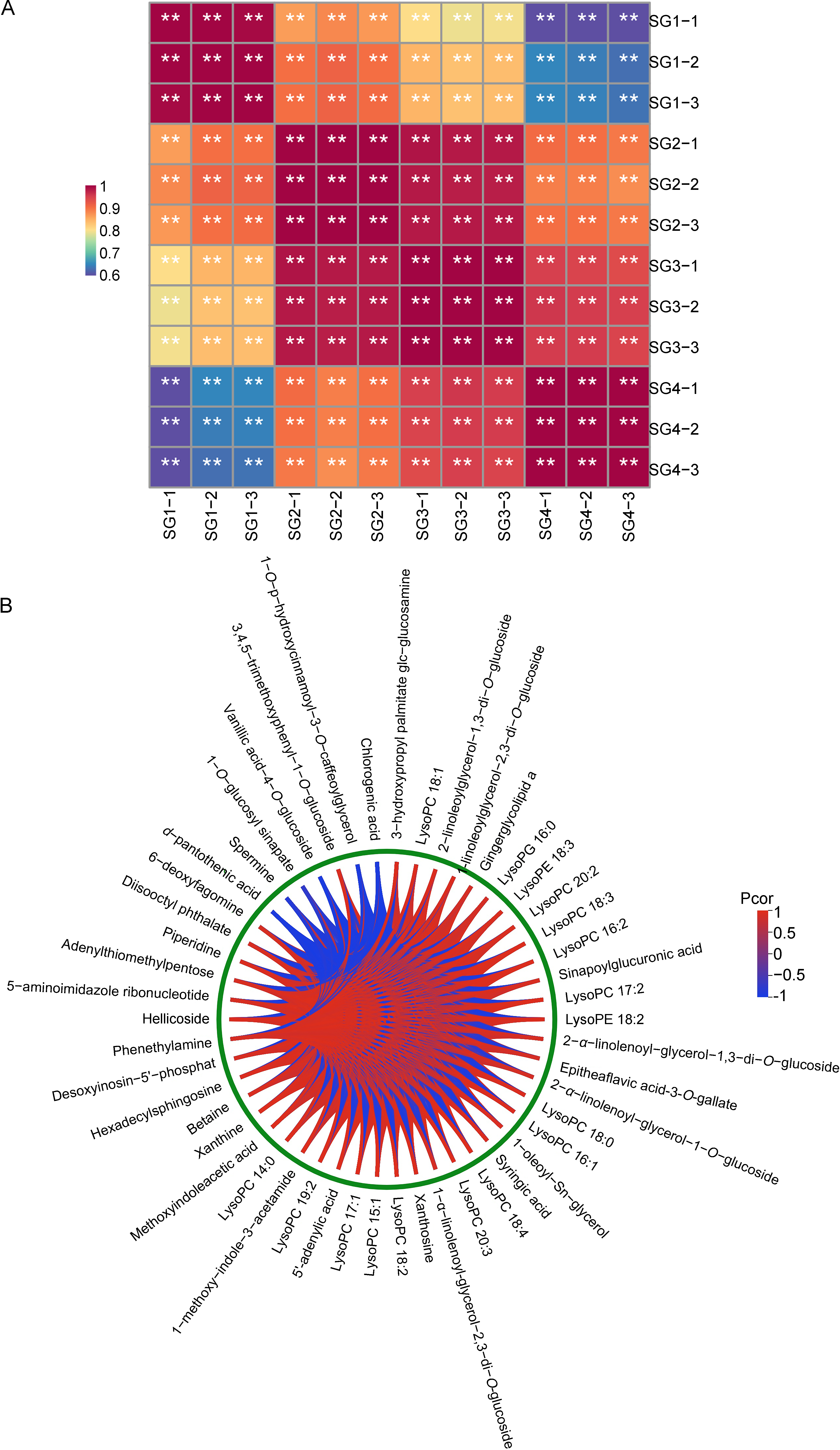 Metabolites 15 00358 g006 Metabolites 15 00358 g006