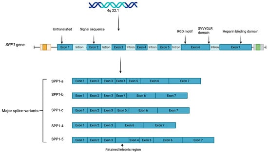 Metabolites 15 00365 g001