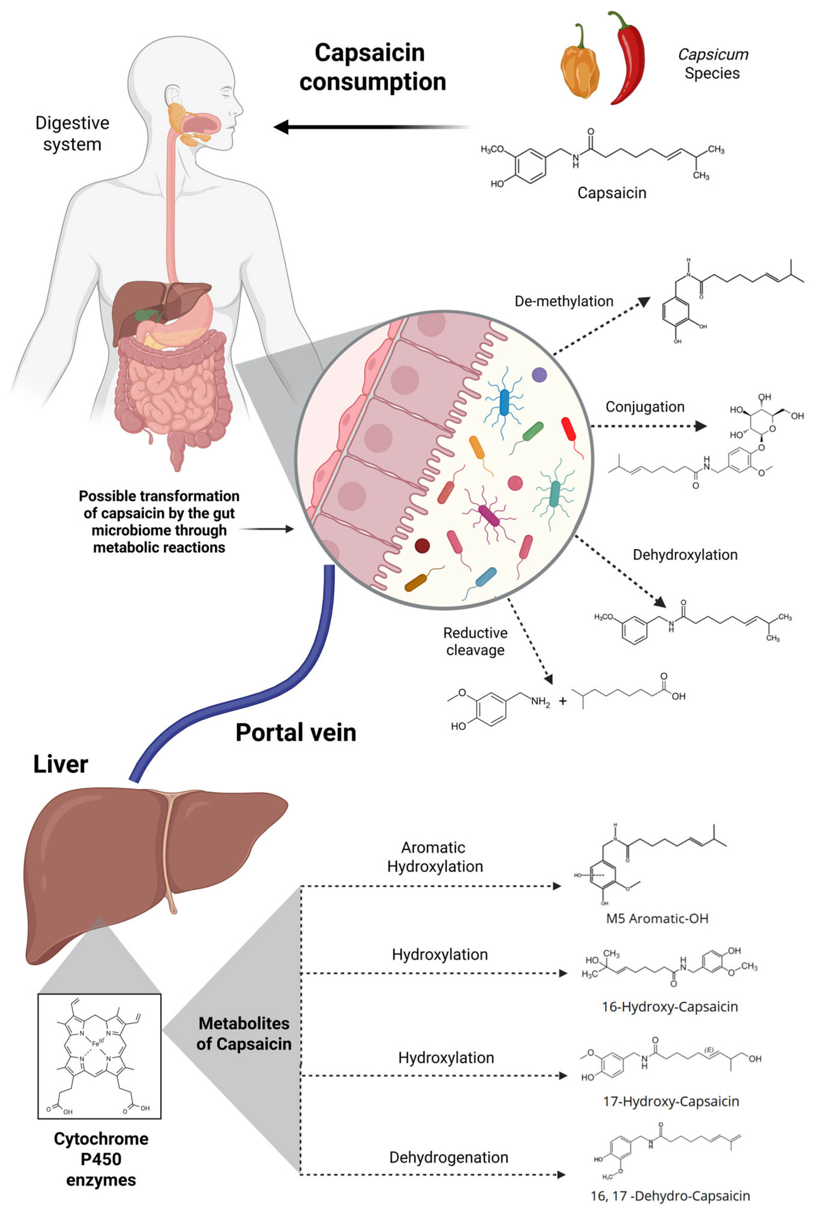 Metabolites 15 00372 g005