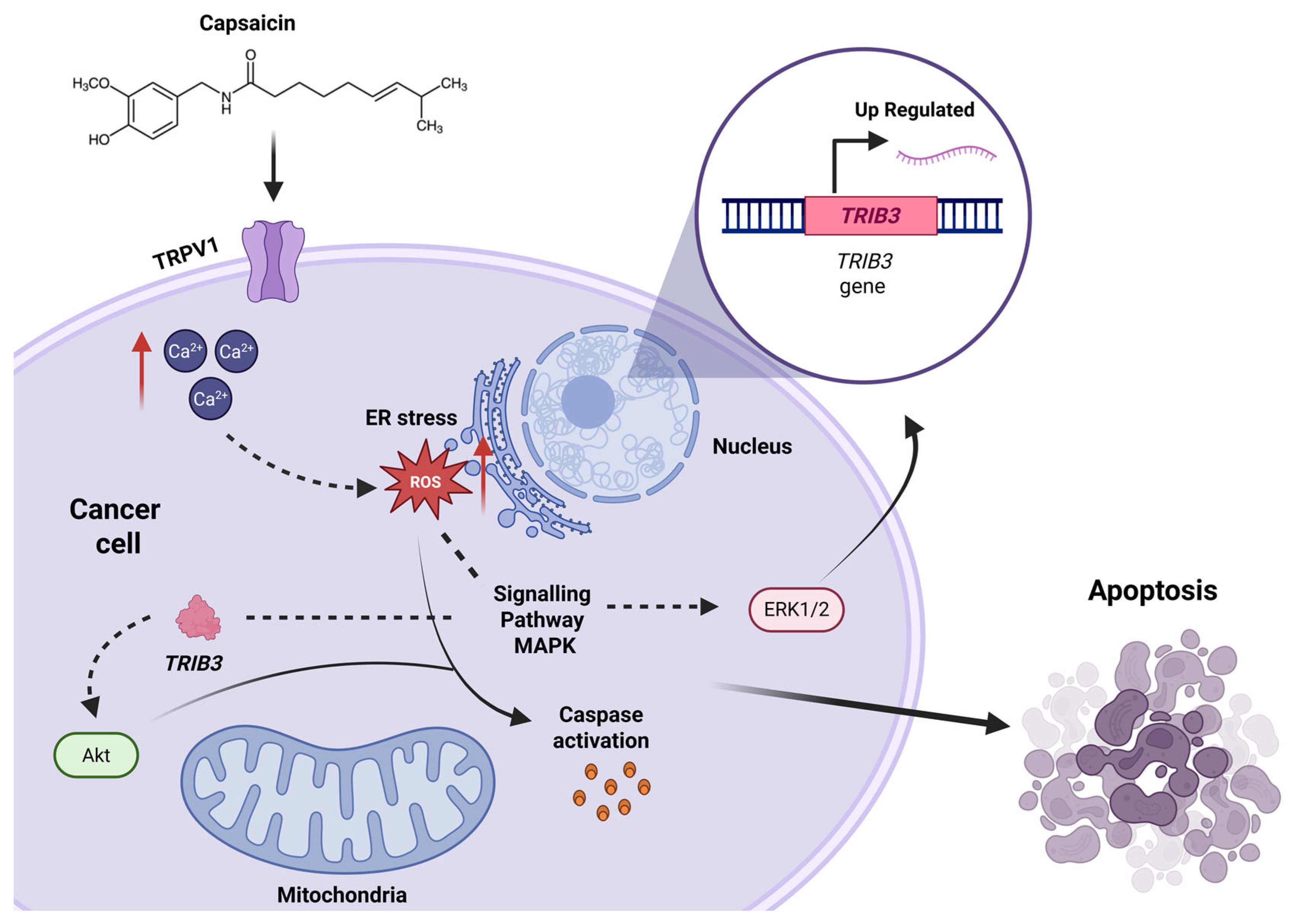Metabolites 15 00372 g007