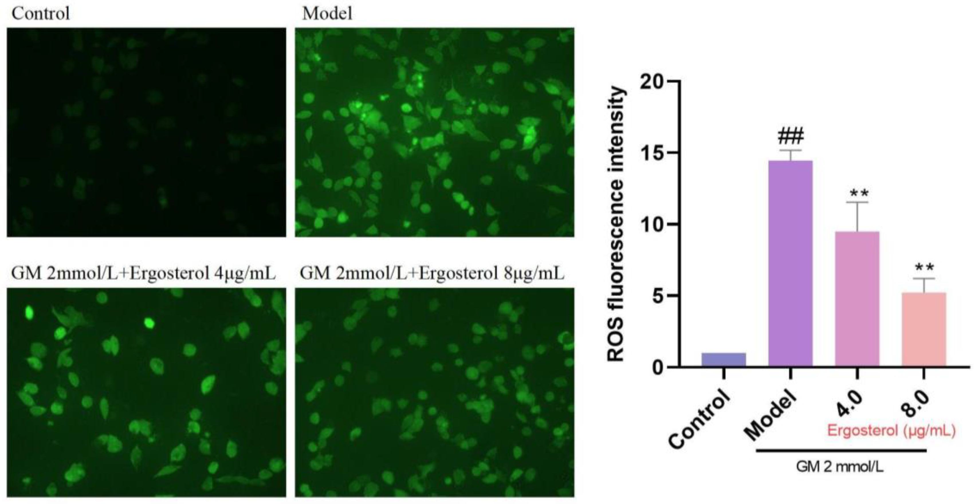 Metabolites 15 00373 g003
