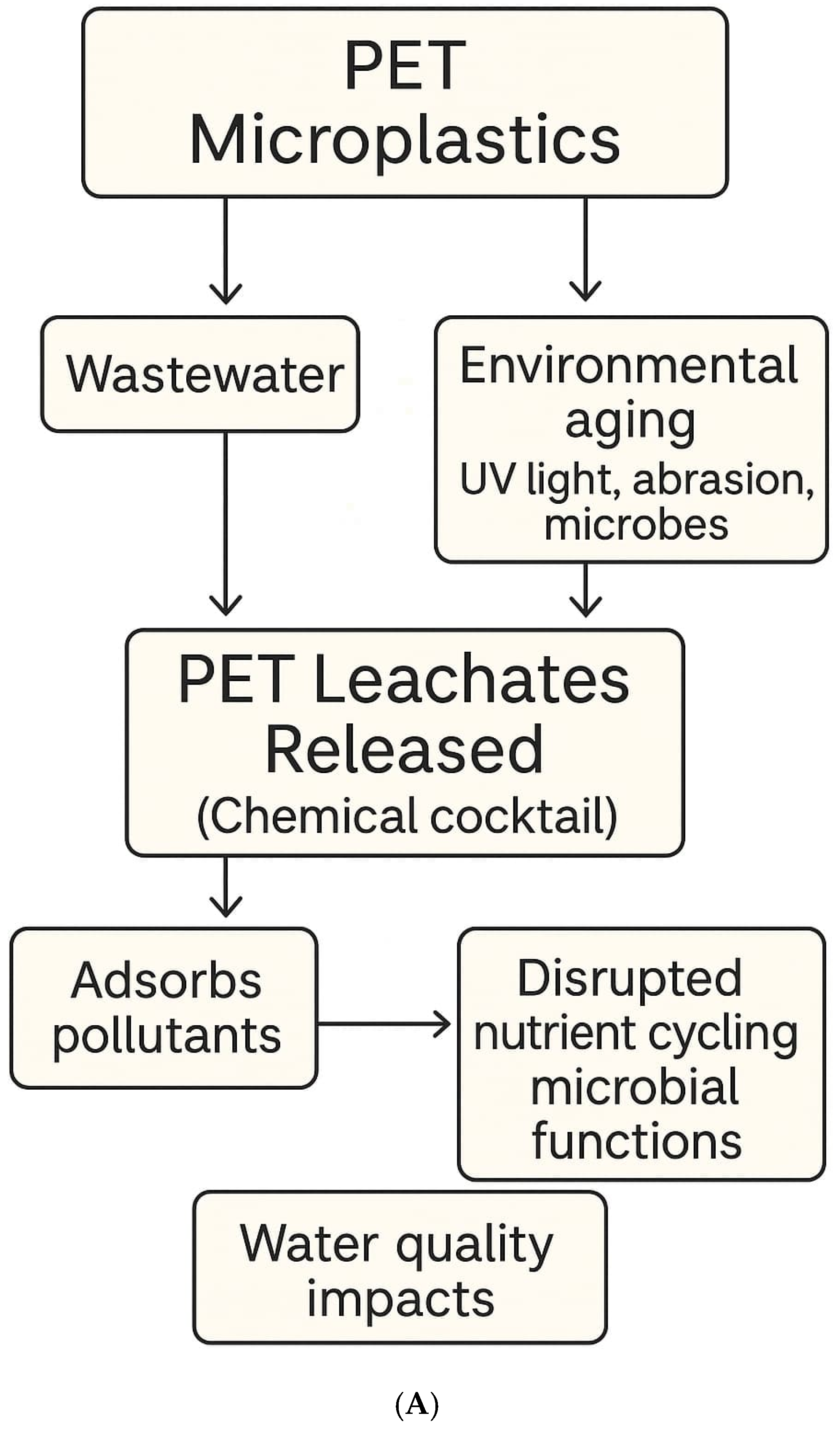 Metabolites 15 00383 g001a
