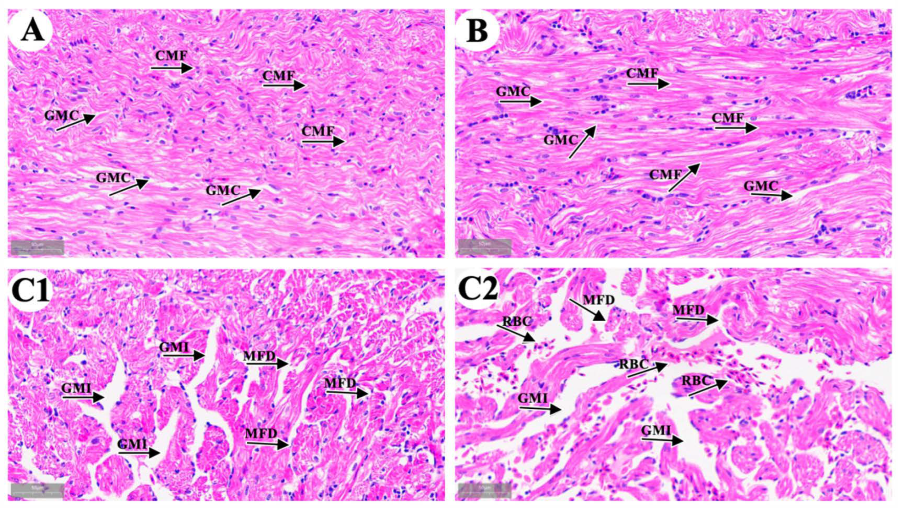 Metabolites 15 00391 g001