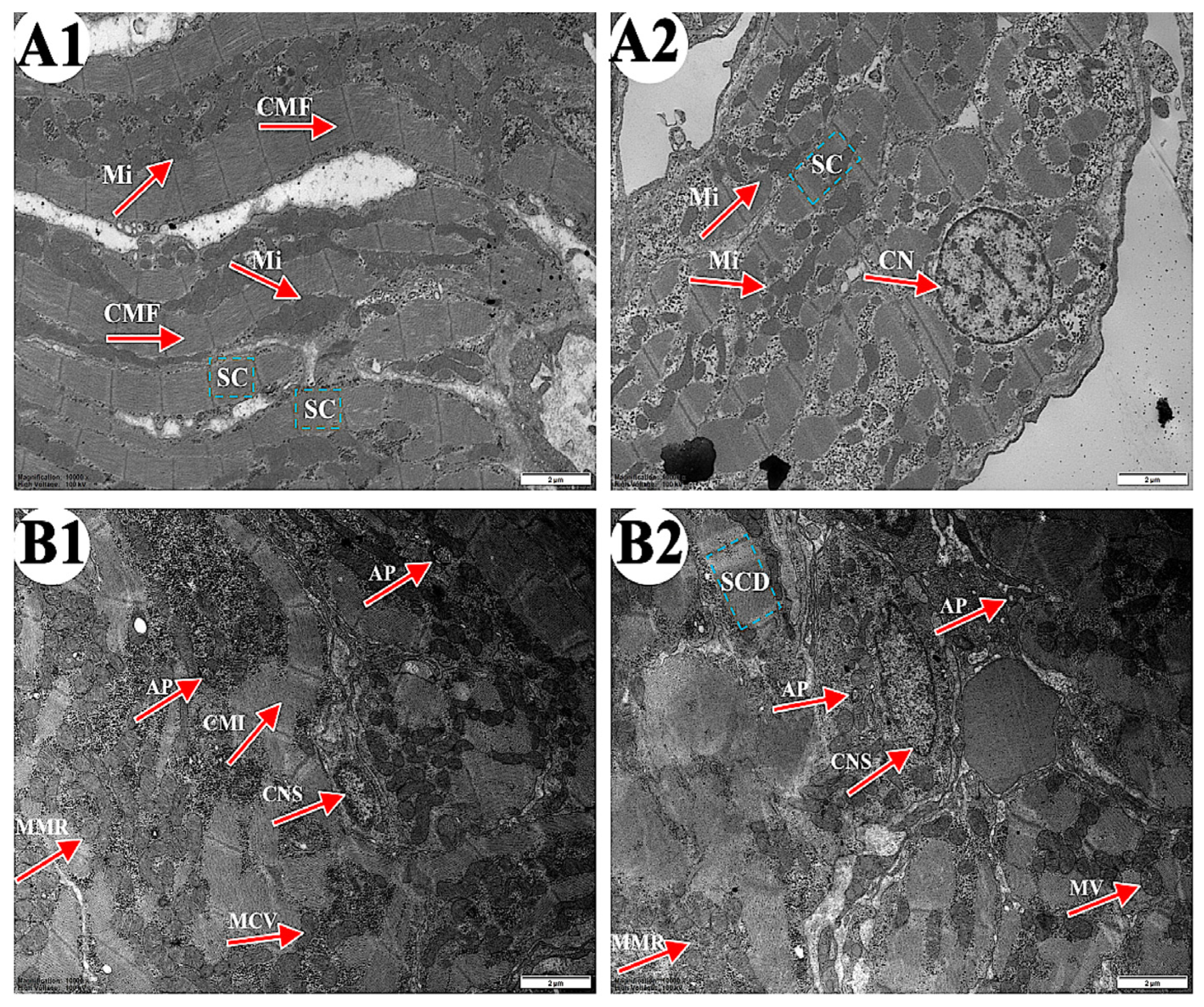 Metabolites 15 00391 g002