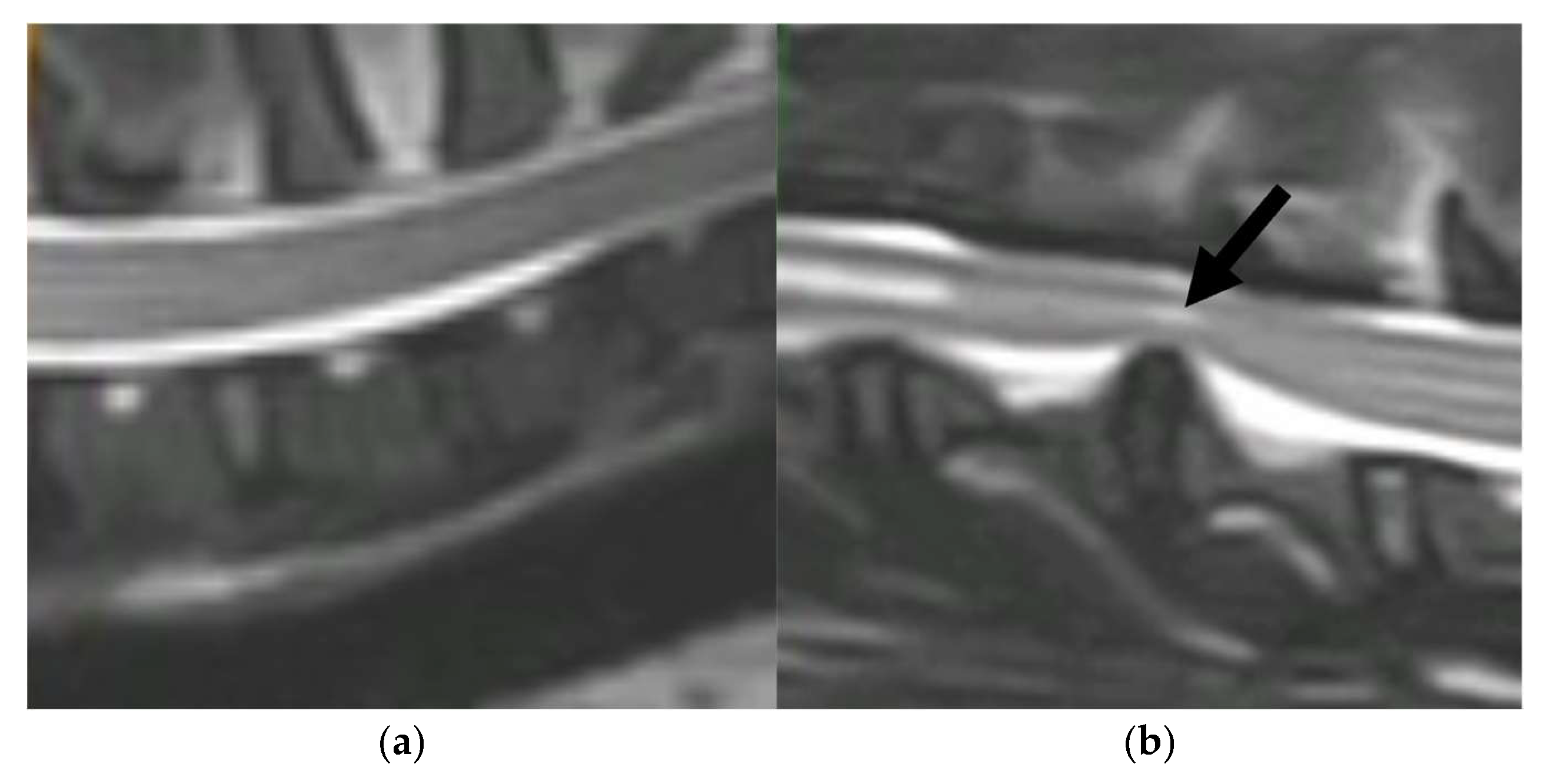 Metabolites 15 00396 g001