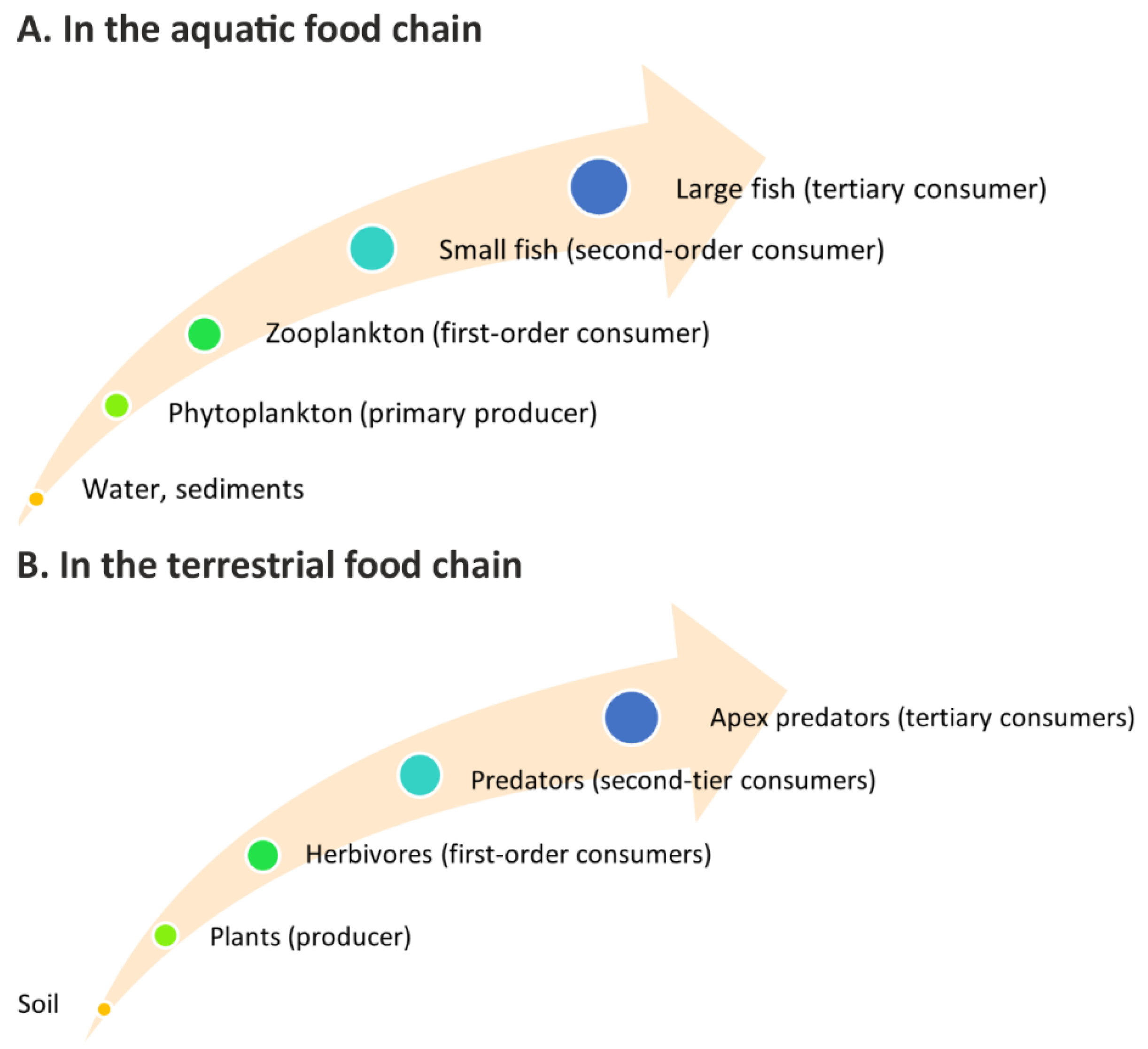 Metabolites 15 00415 g003 Metabolites 15 00415 g003