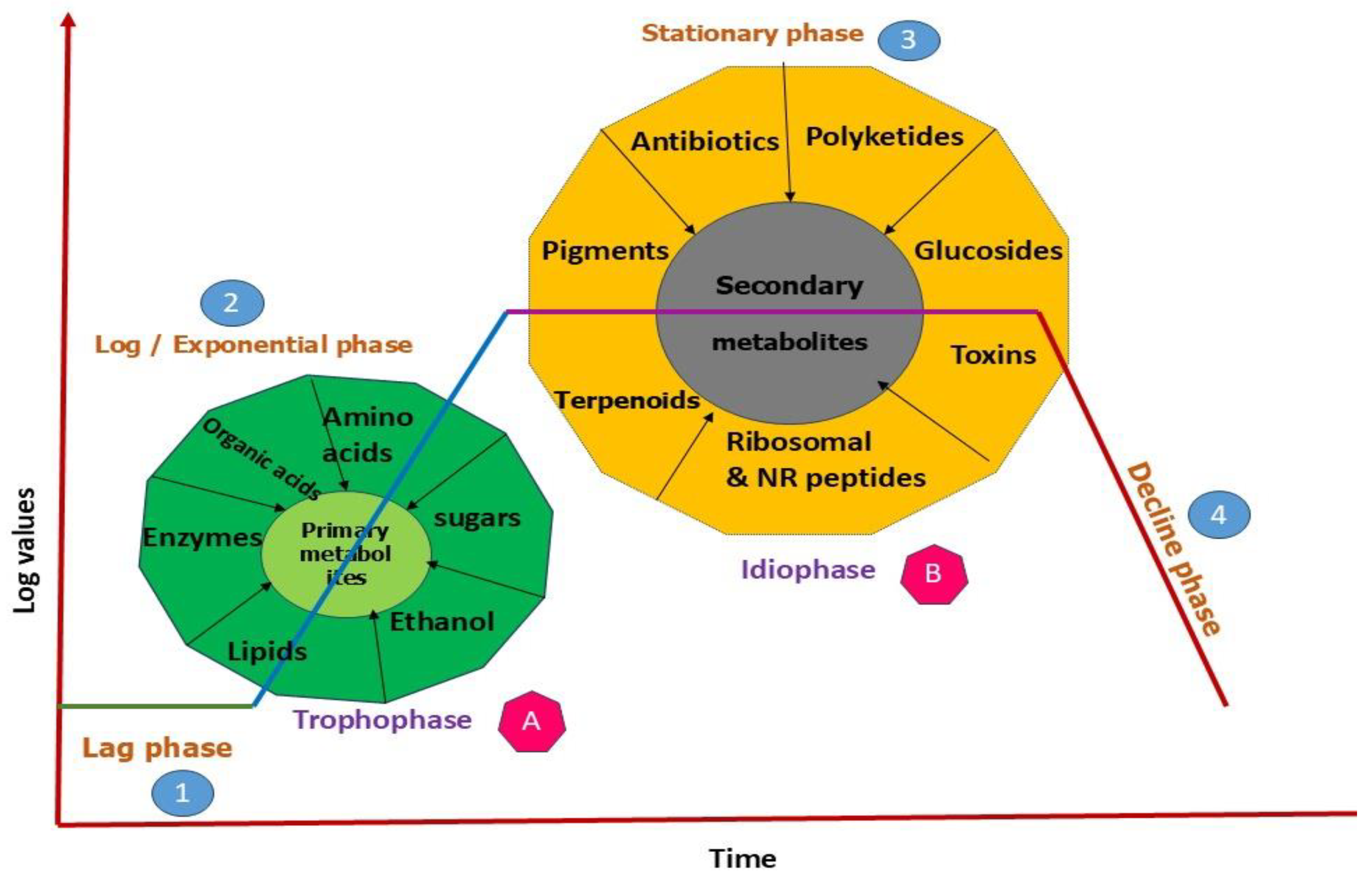 Metabolites 15 00418 g001