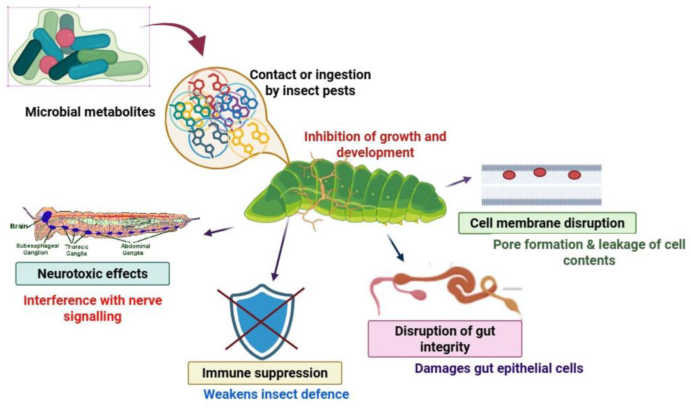 Metabolites 15 00418 g002