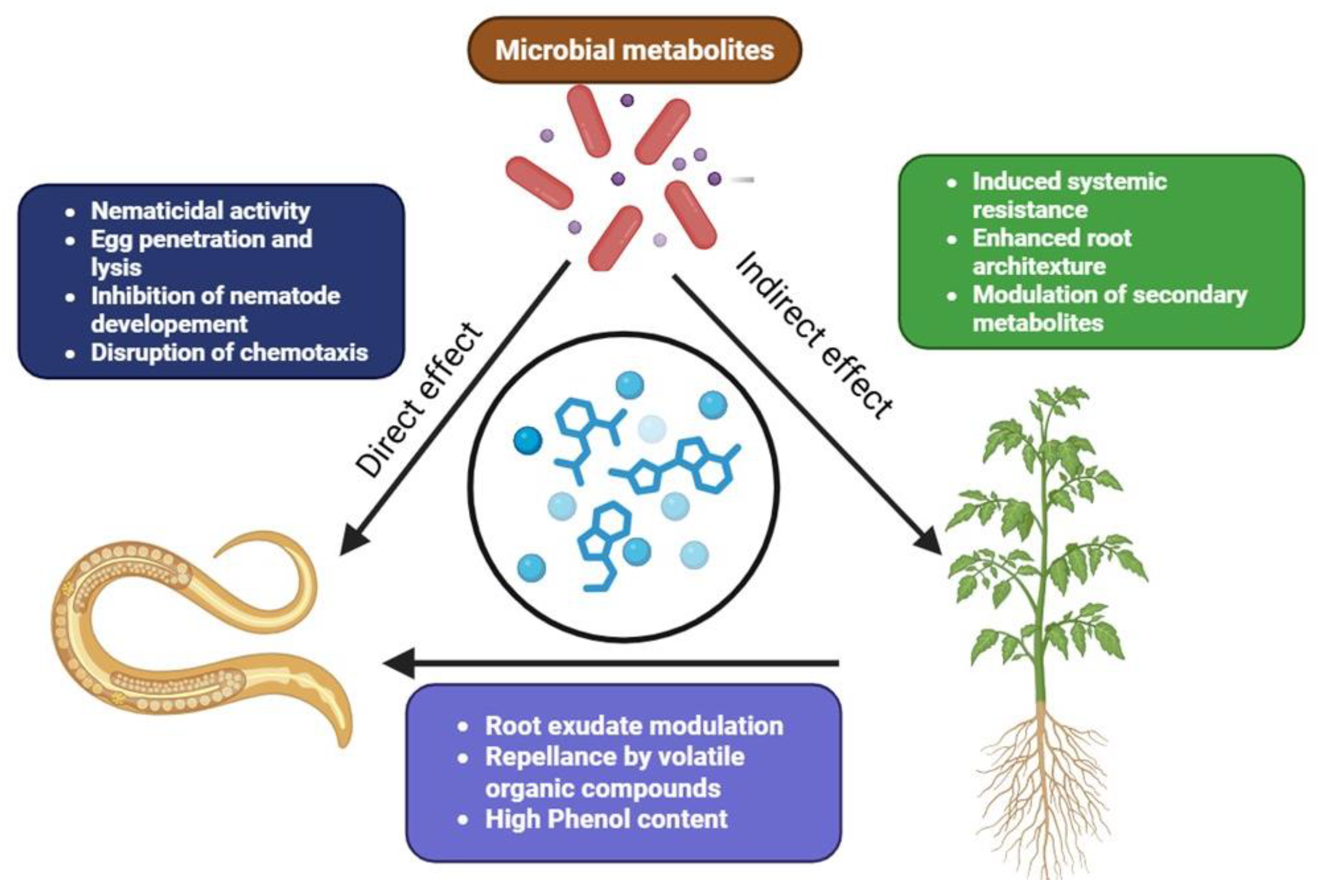 Metabolites 15 00418 g004