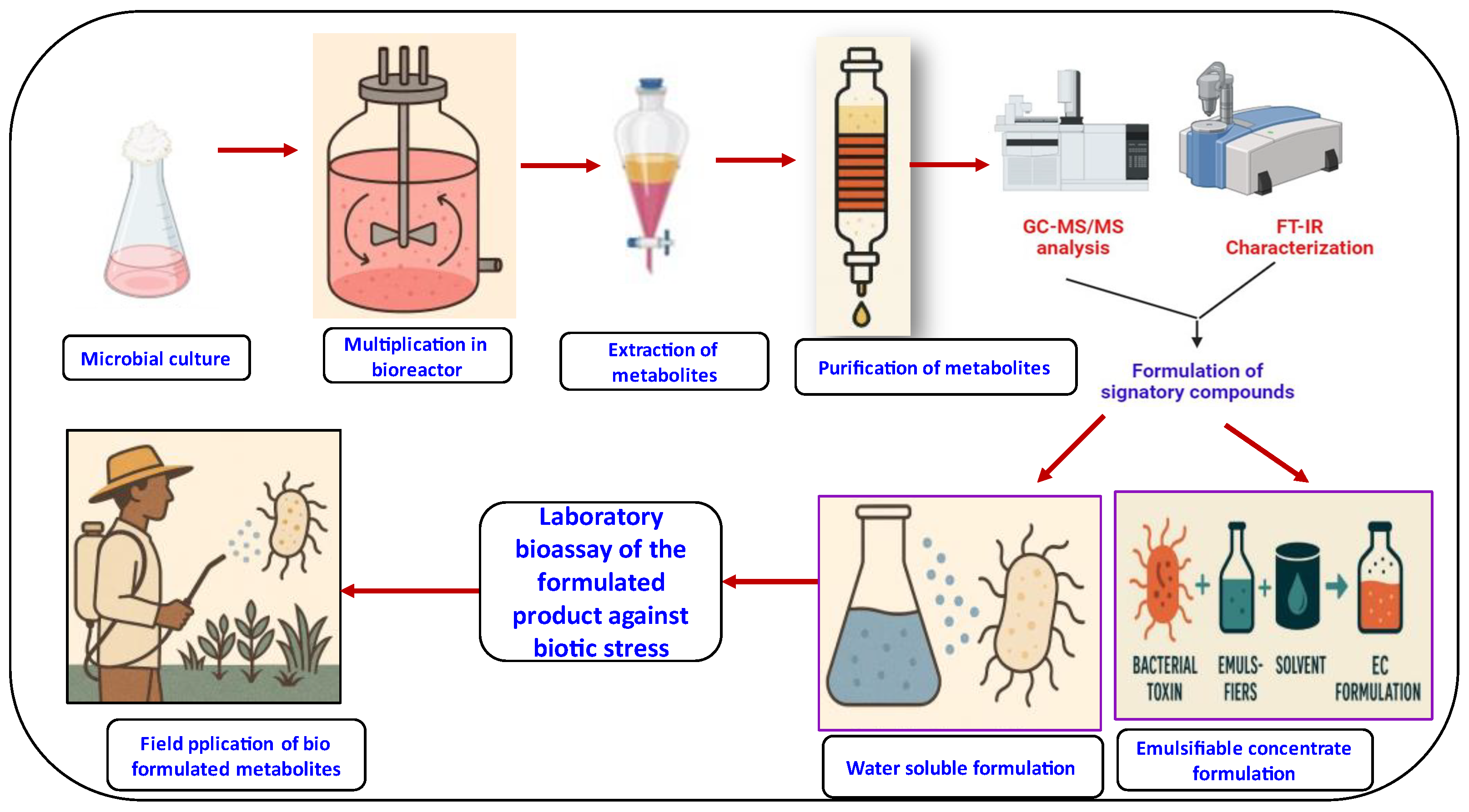 Metabolites 15 00418 g005