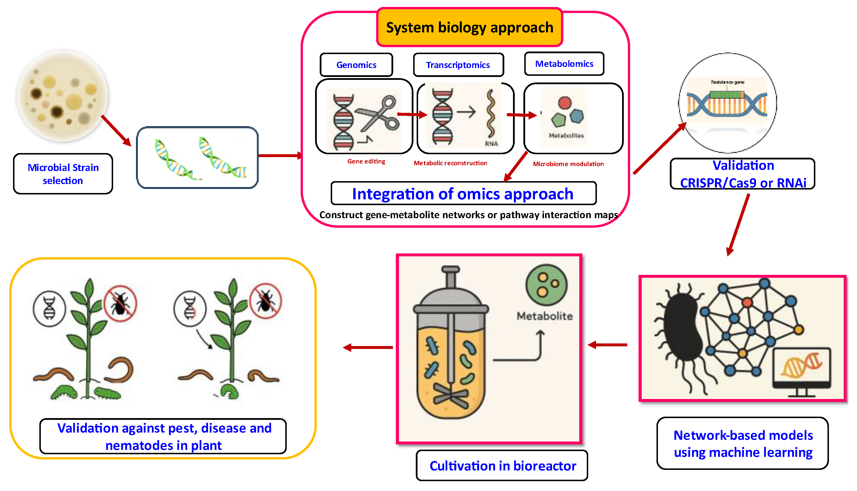 Metabolites 15 00418 g006
