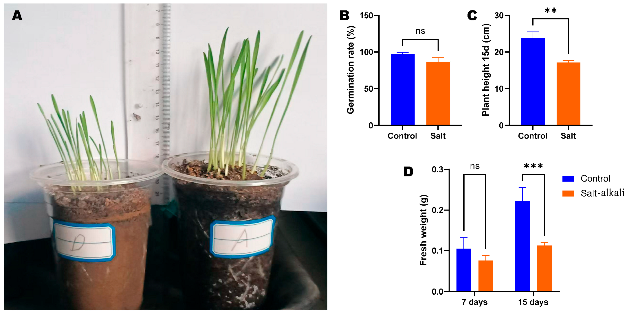 Metabolites 15 00430 g001