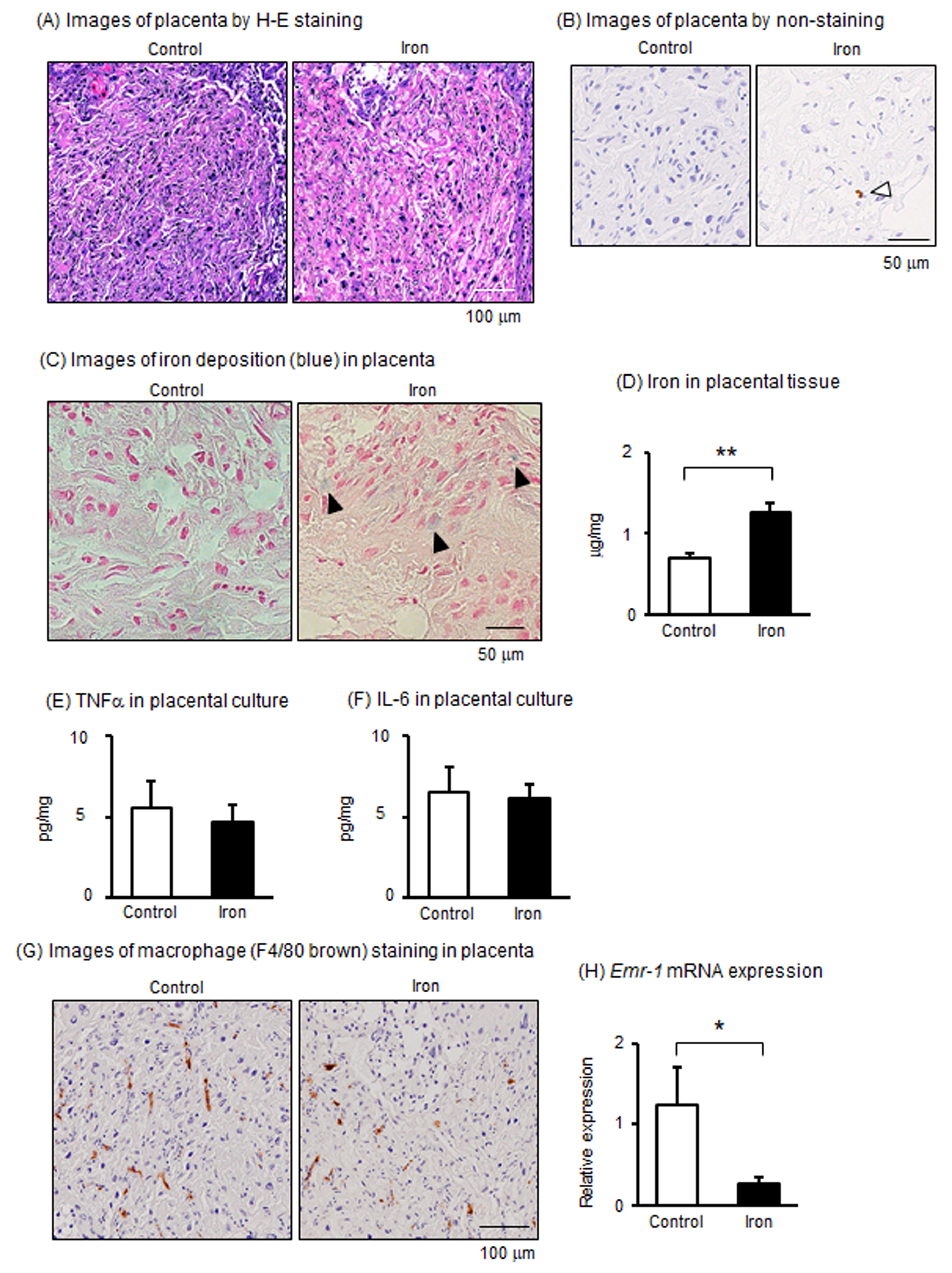 Metabolites 15 00431 g002