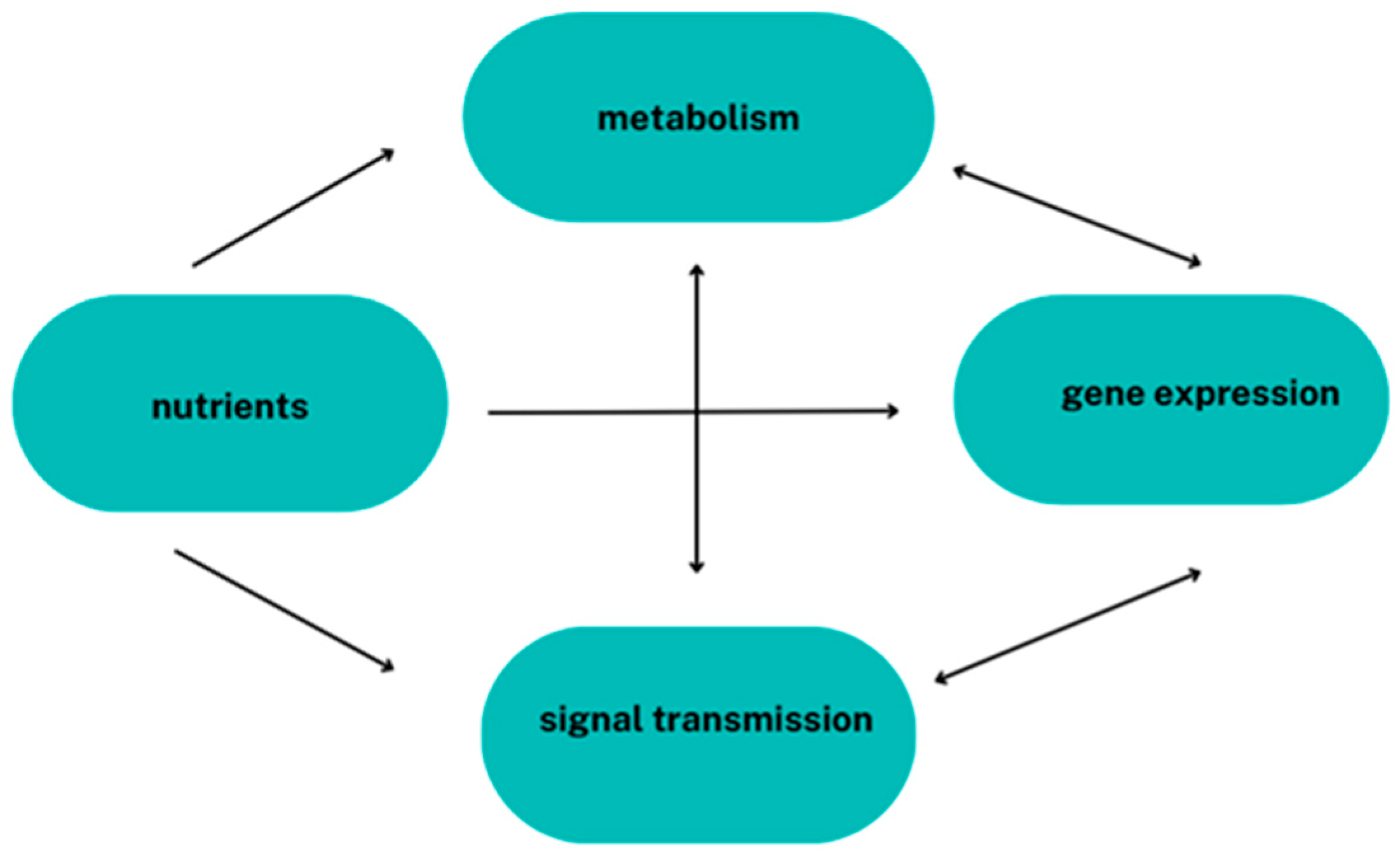 Metabolites 15 00436 g002