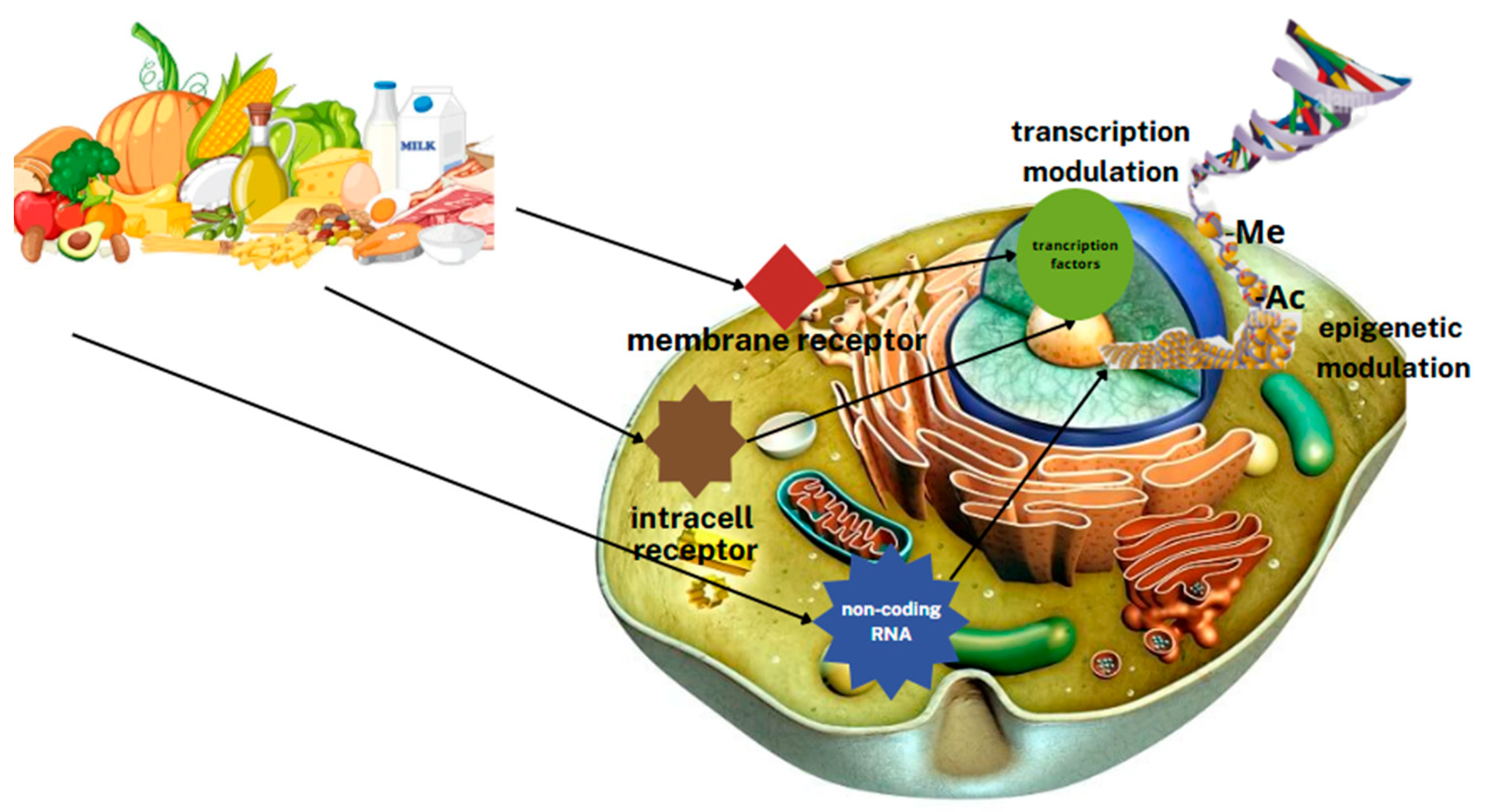 Metabolites 15 00436 g003