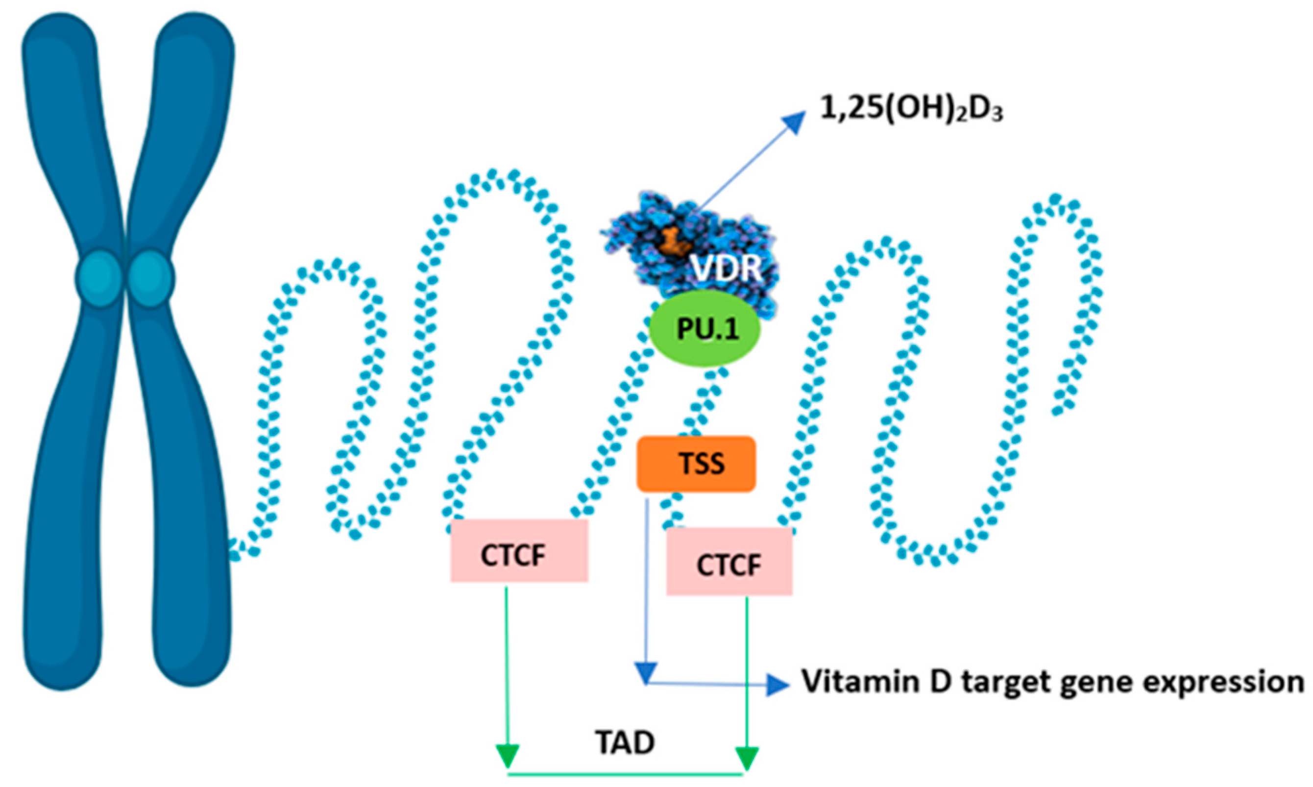 Metabolites 15 00436 g005