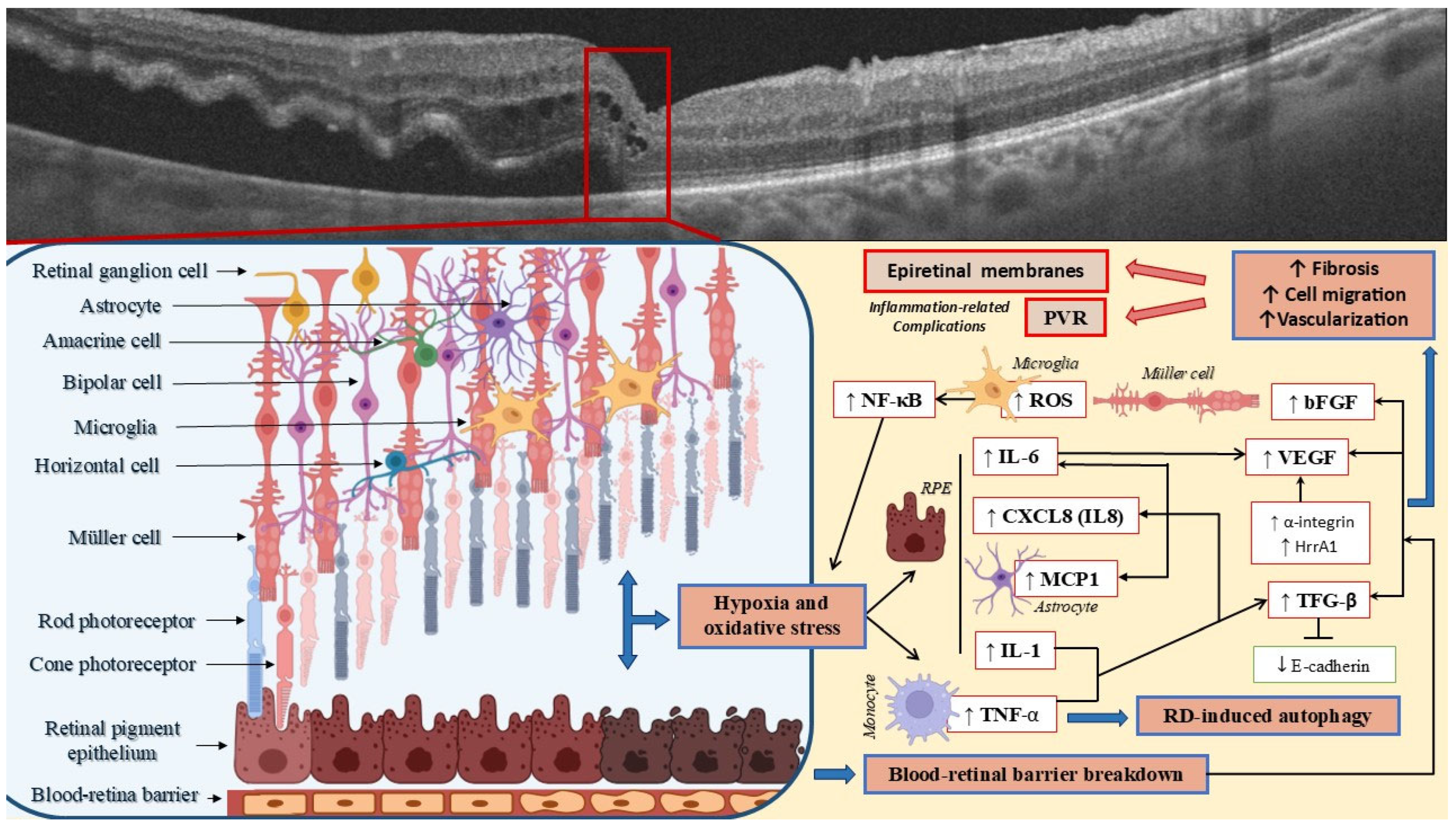 Metabolites 15 00442 g002