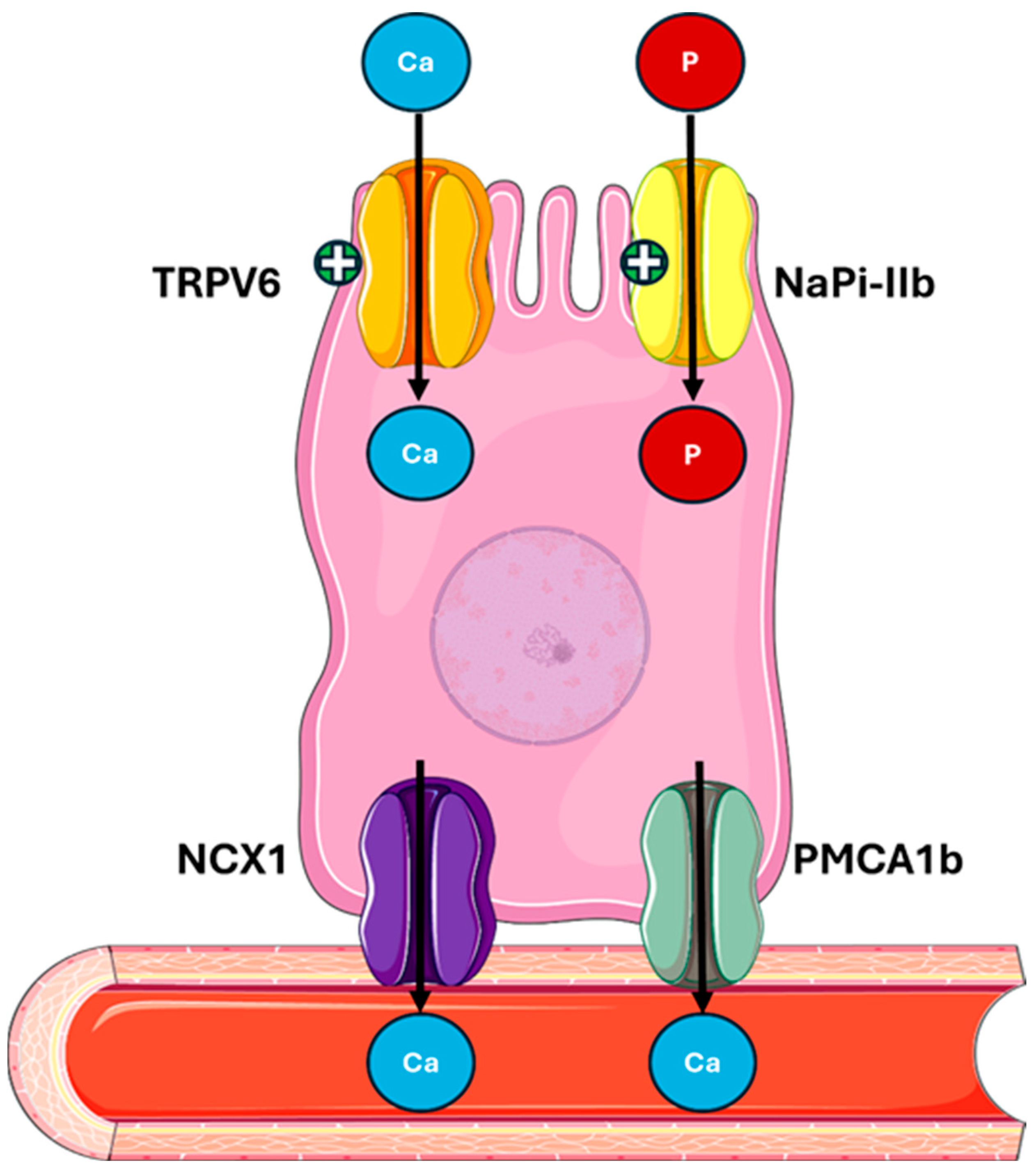 Metabolites 15 00444 g004