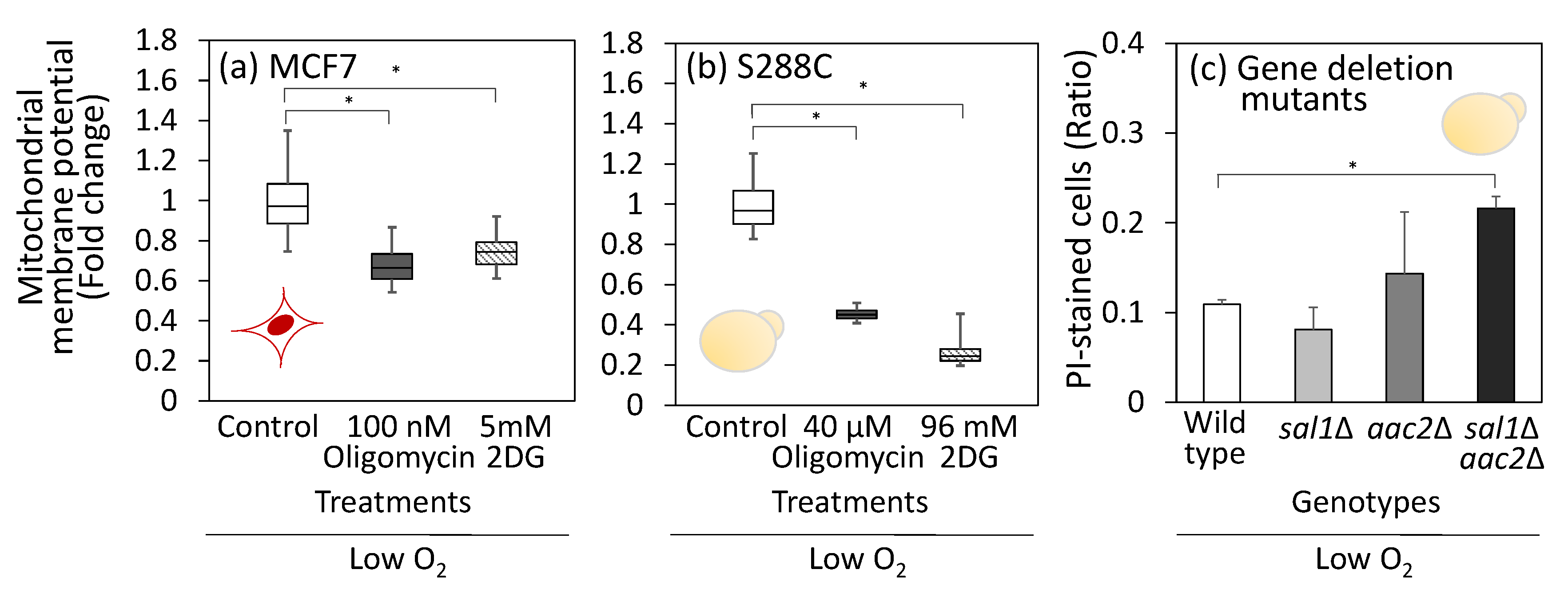 Metabolites 15 00461 g005 Metabolites 15 00461 g005