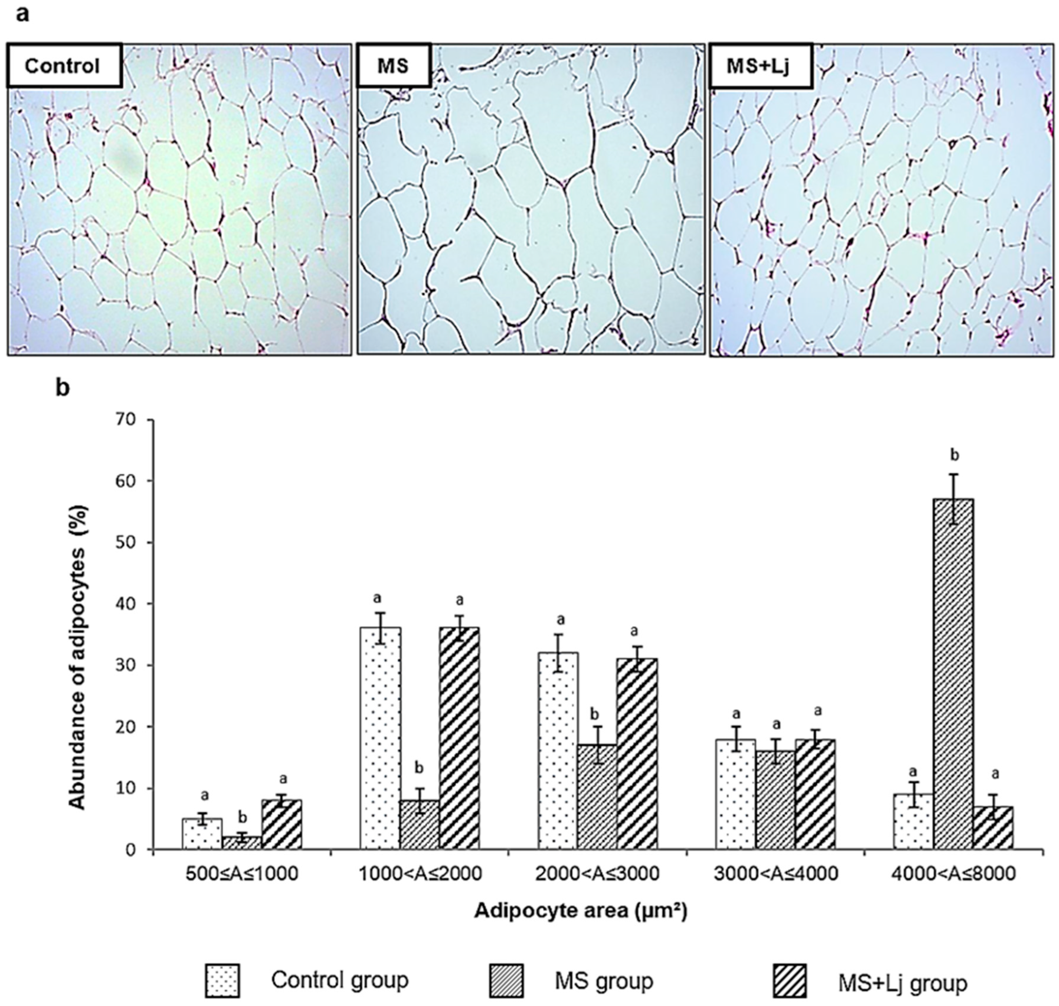 Metabolites 15 00466 g002