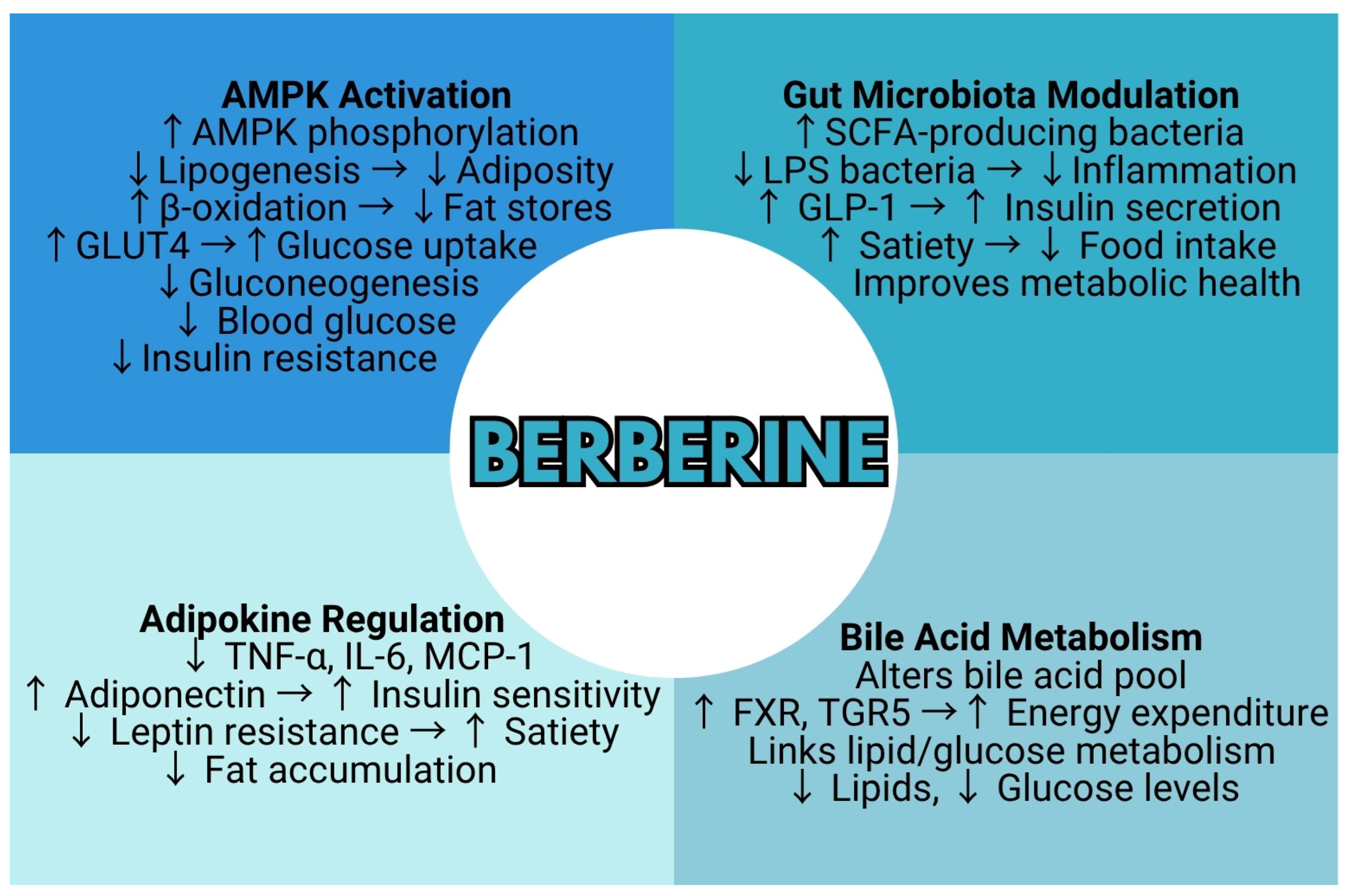 Metabolites 15 00467 g003