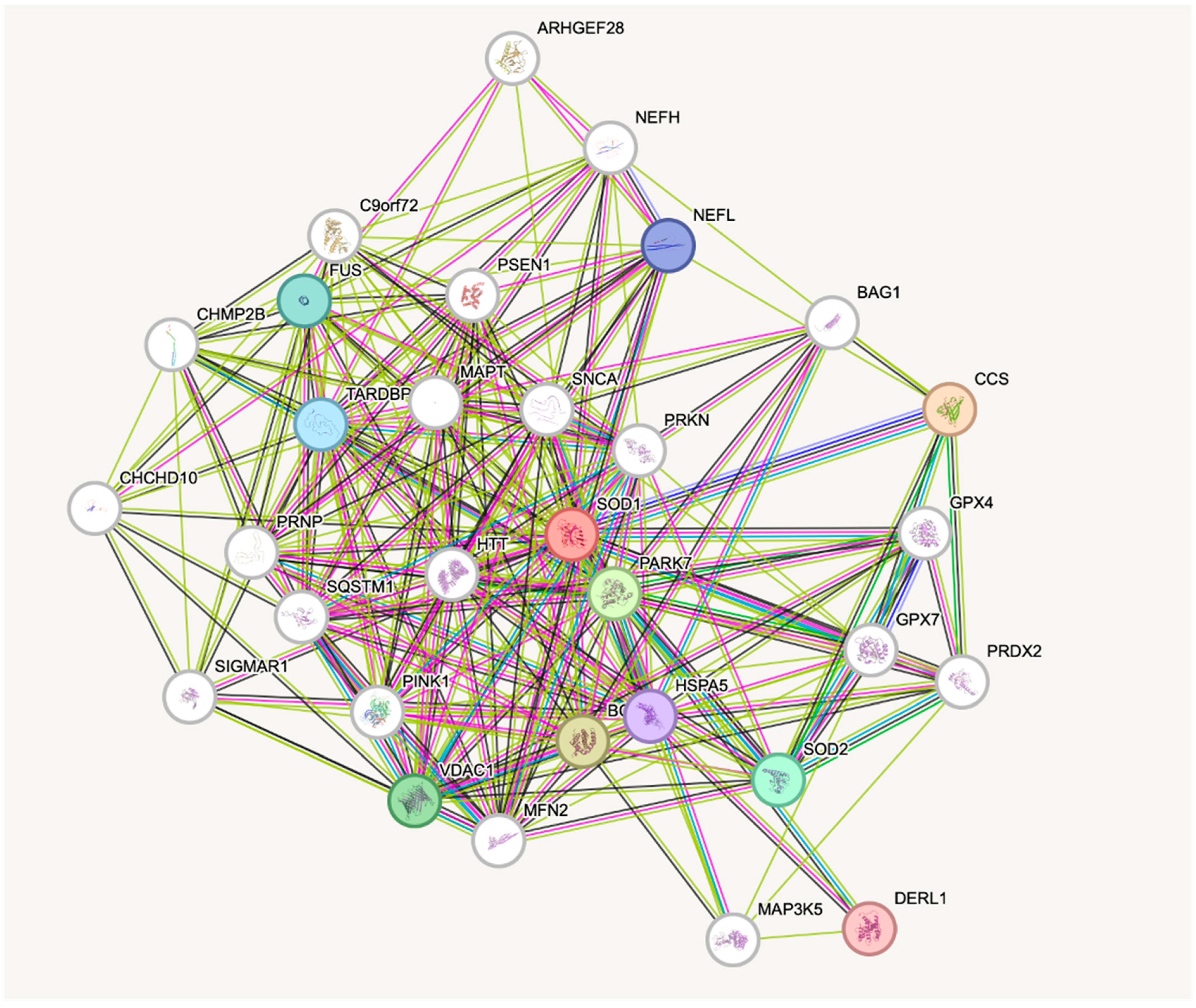Metabolites 15 00479 g001