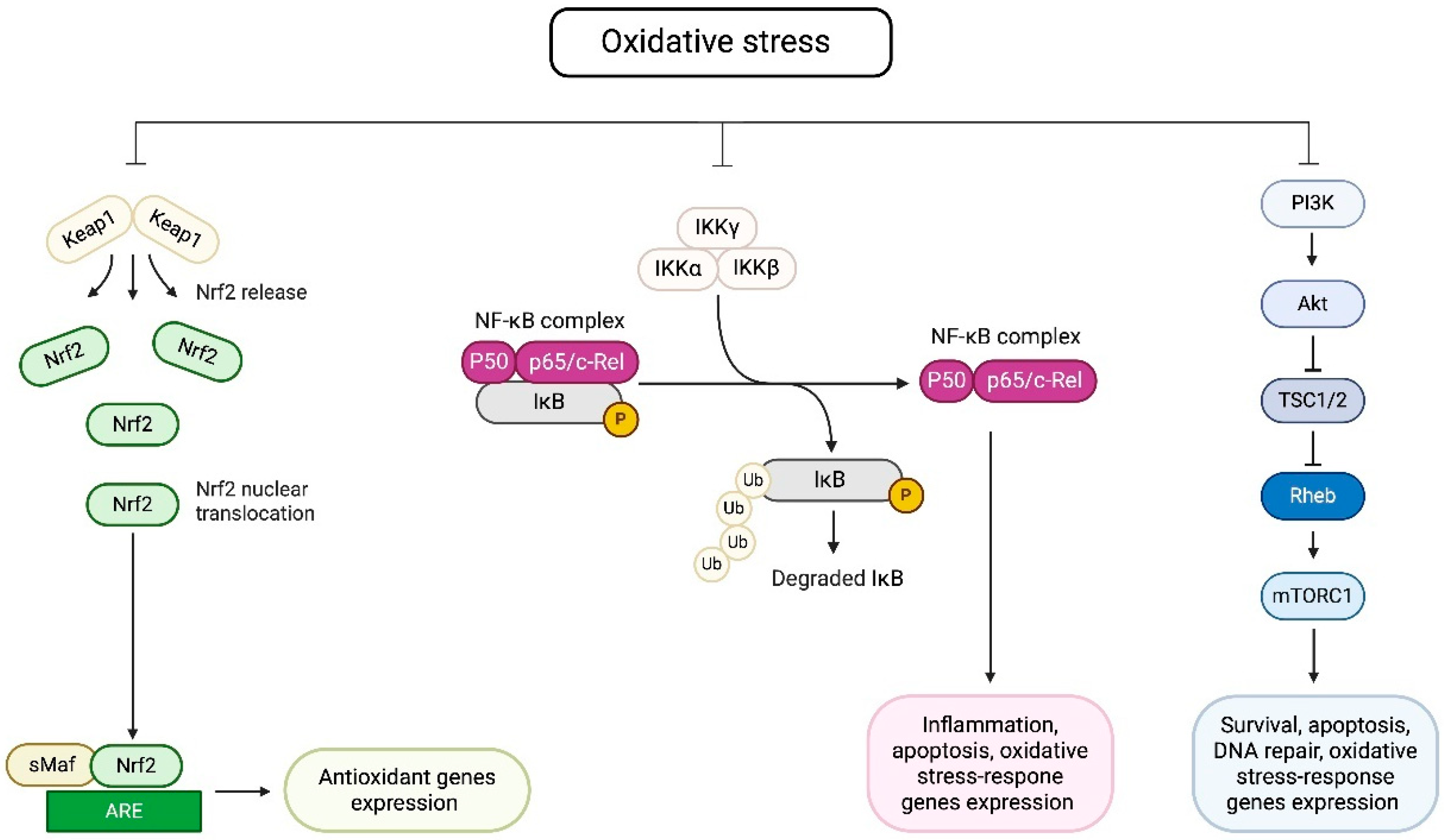 Metabolites 15 00479 g002