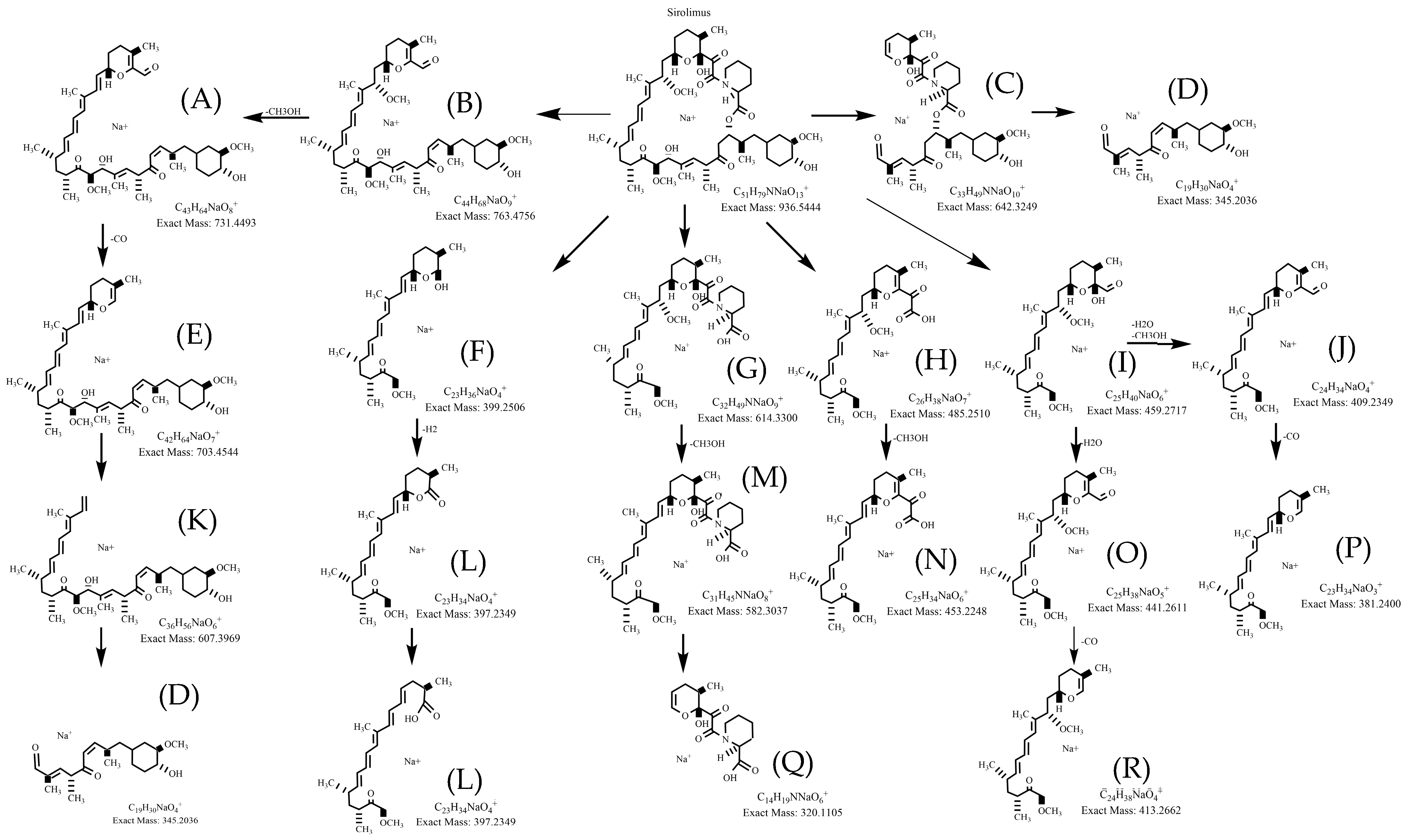 Metabolites 15 00489 g003
