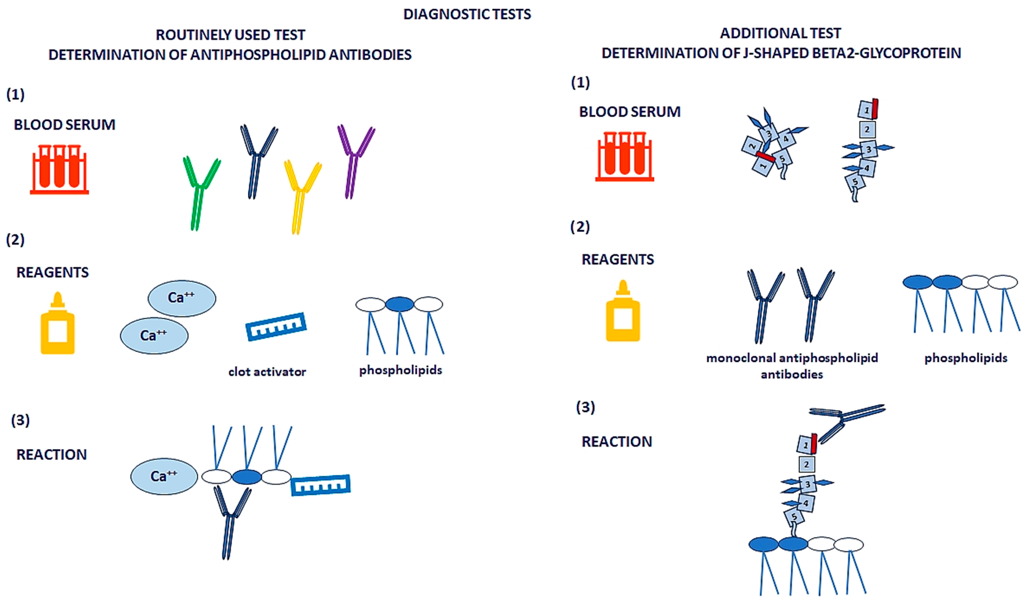Metabolites 15 00500 g002