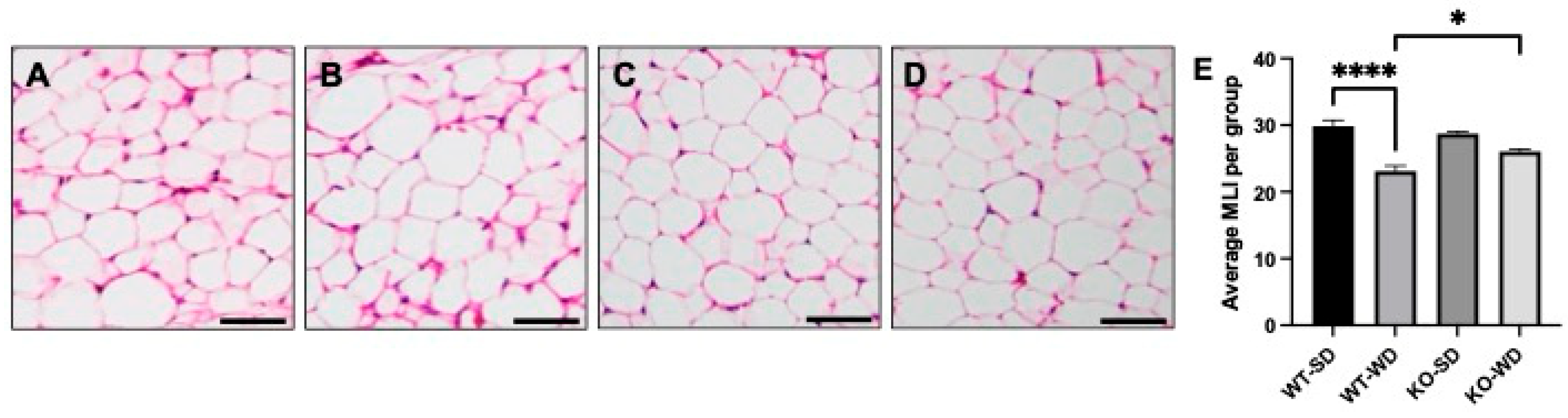 Metabolites 15 00524 g002