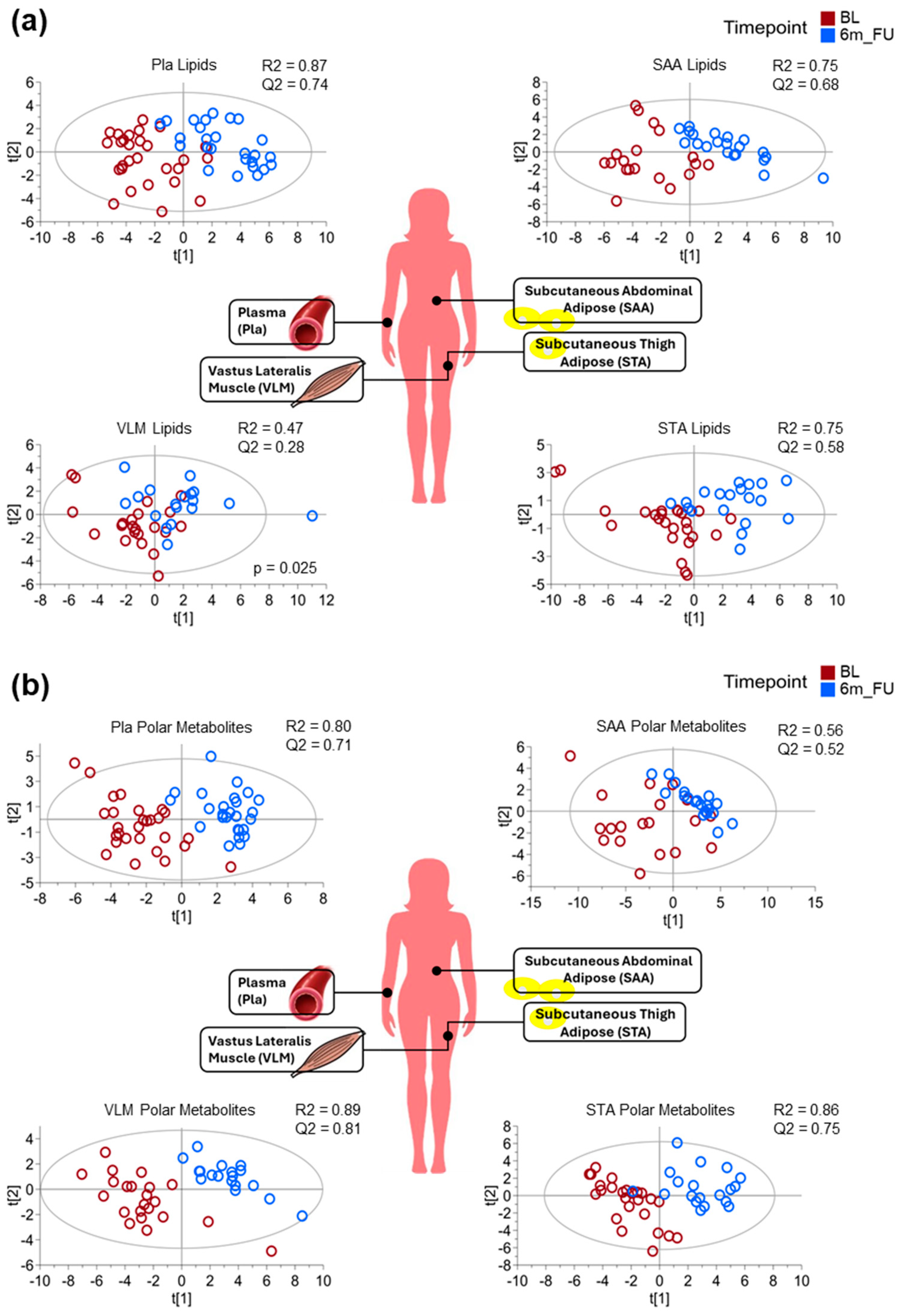 Metabolites 15 00525 g001