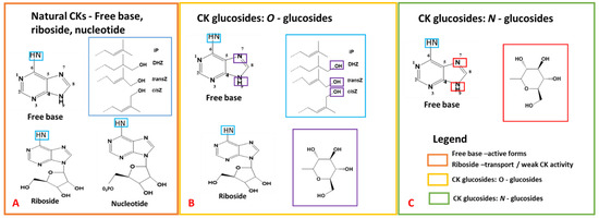 Metabolites 15 00533 g002