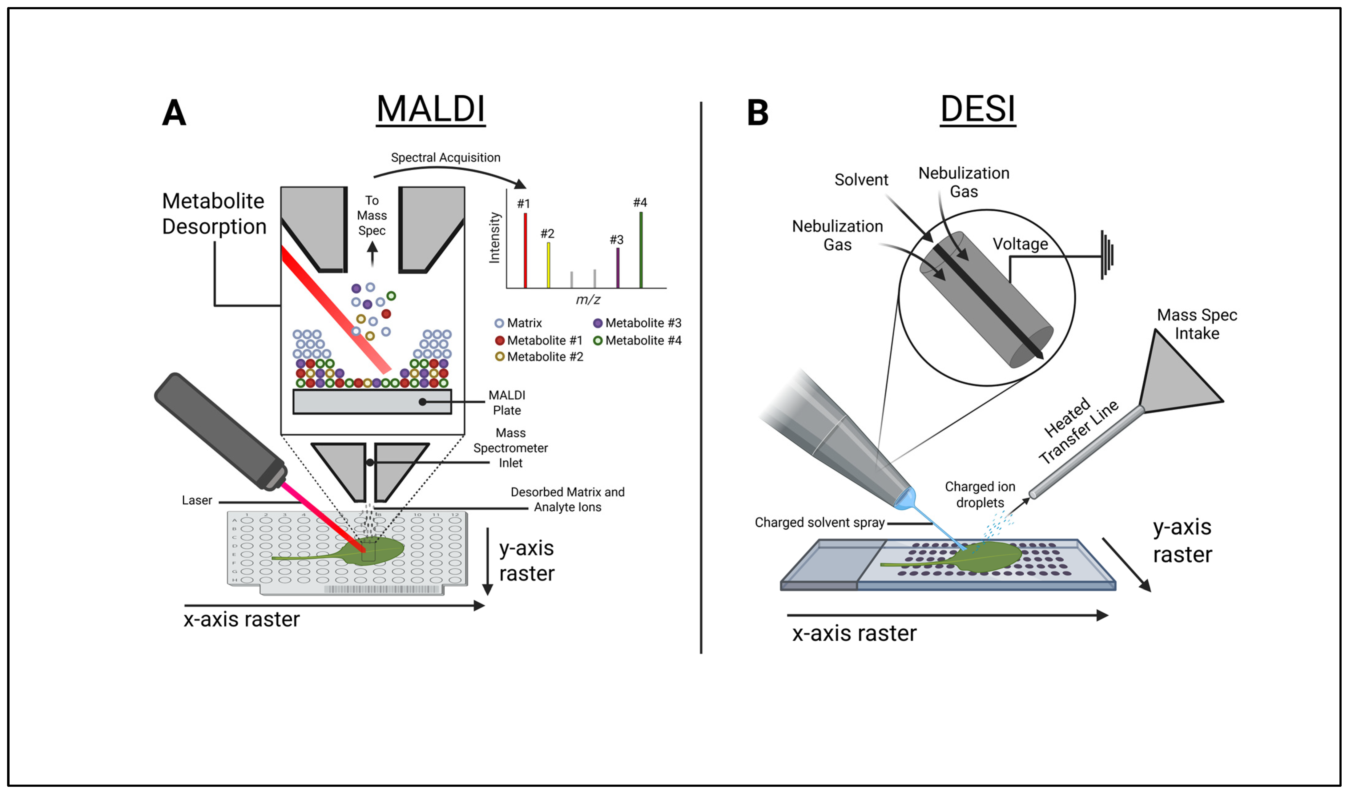 Metabolites 15 00539 g002