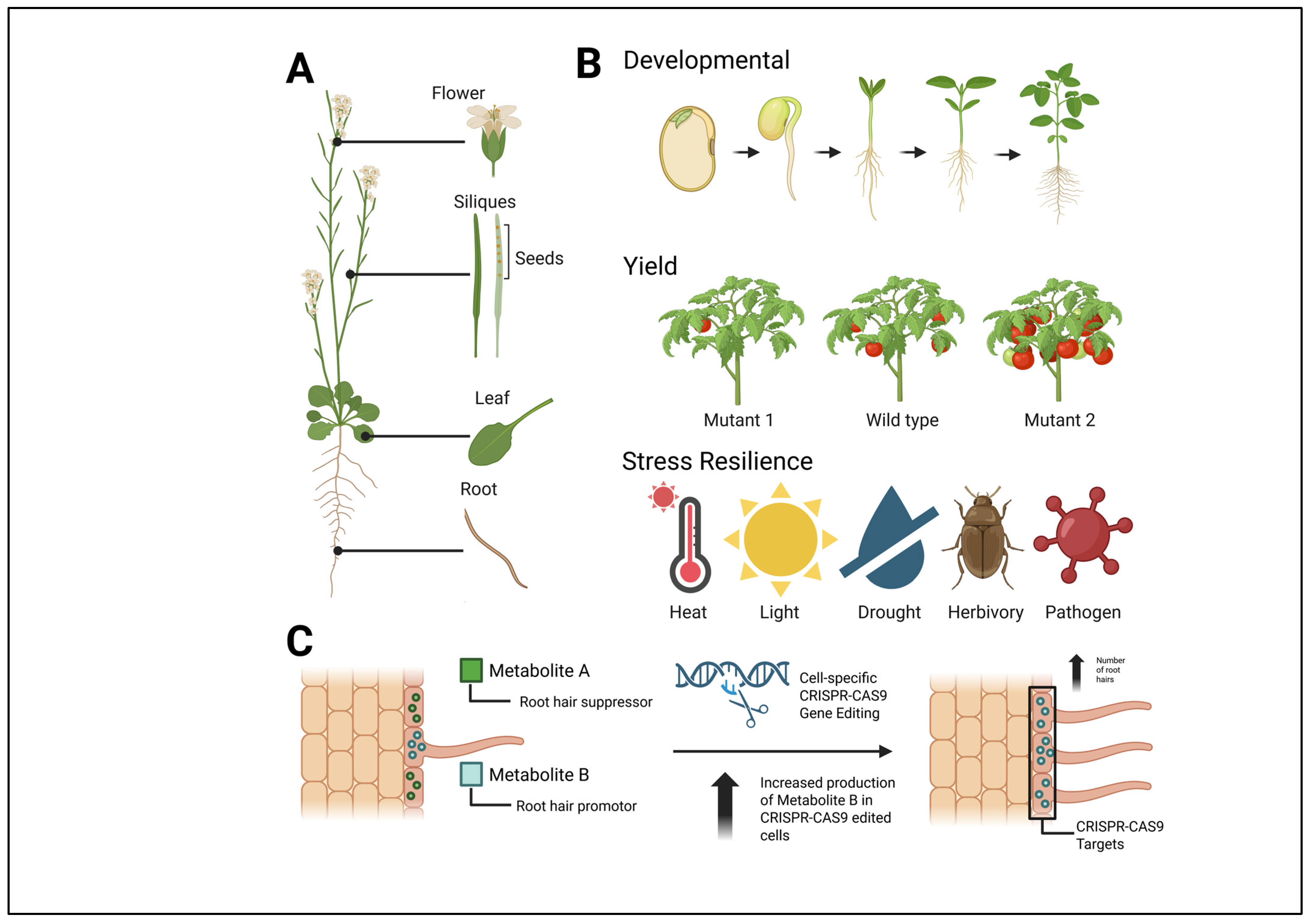 Metabolites 15 00539 g003