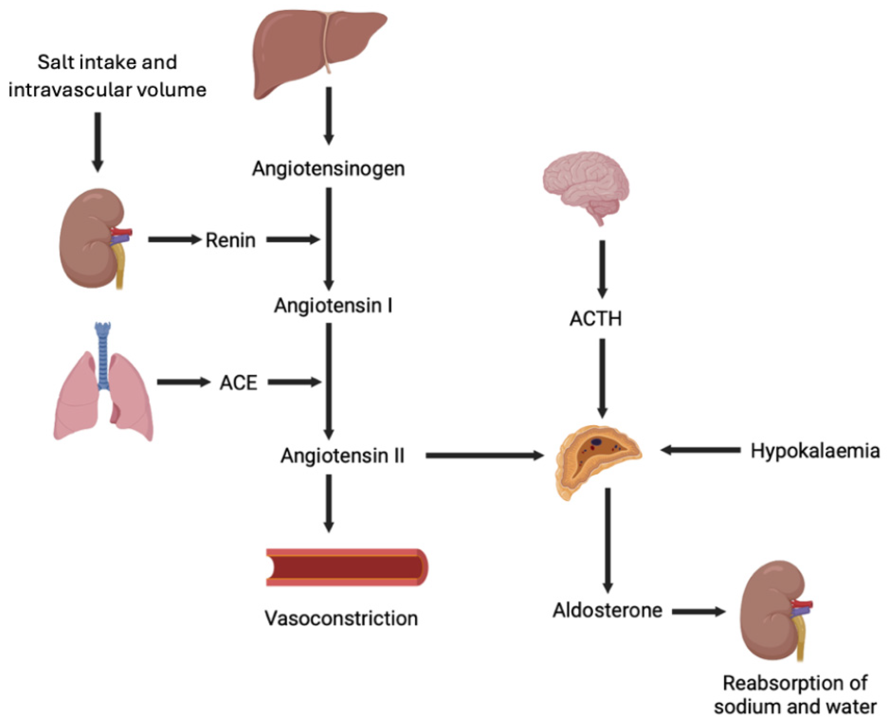 Metabolites 15 00553 g001