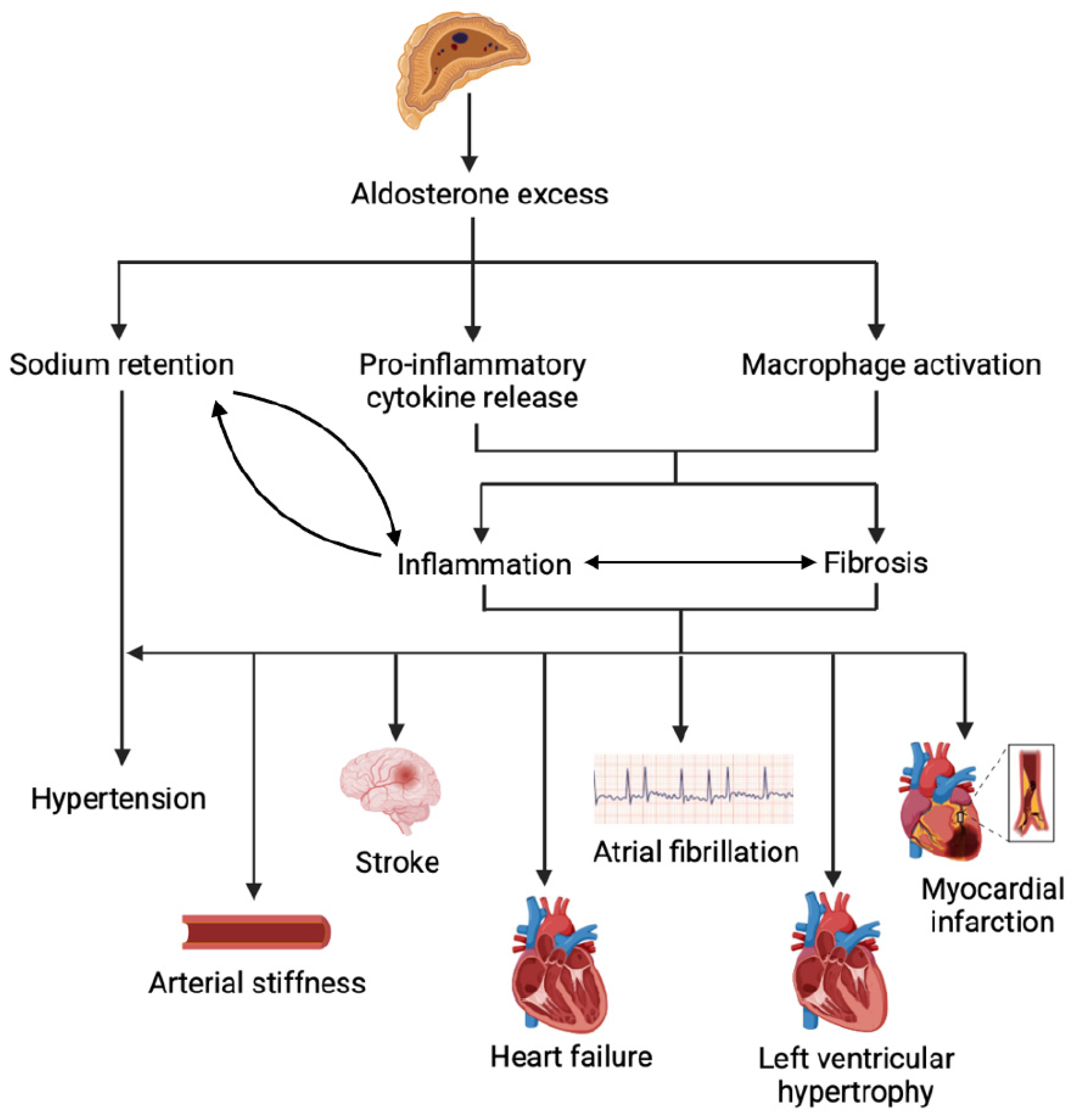 Metabolites 15 00553 g002