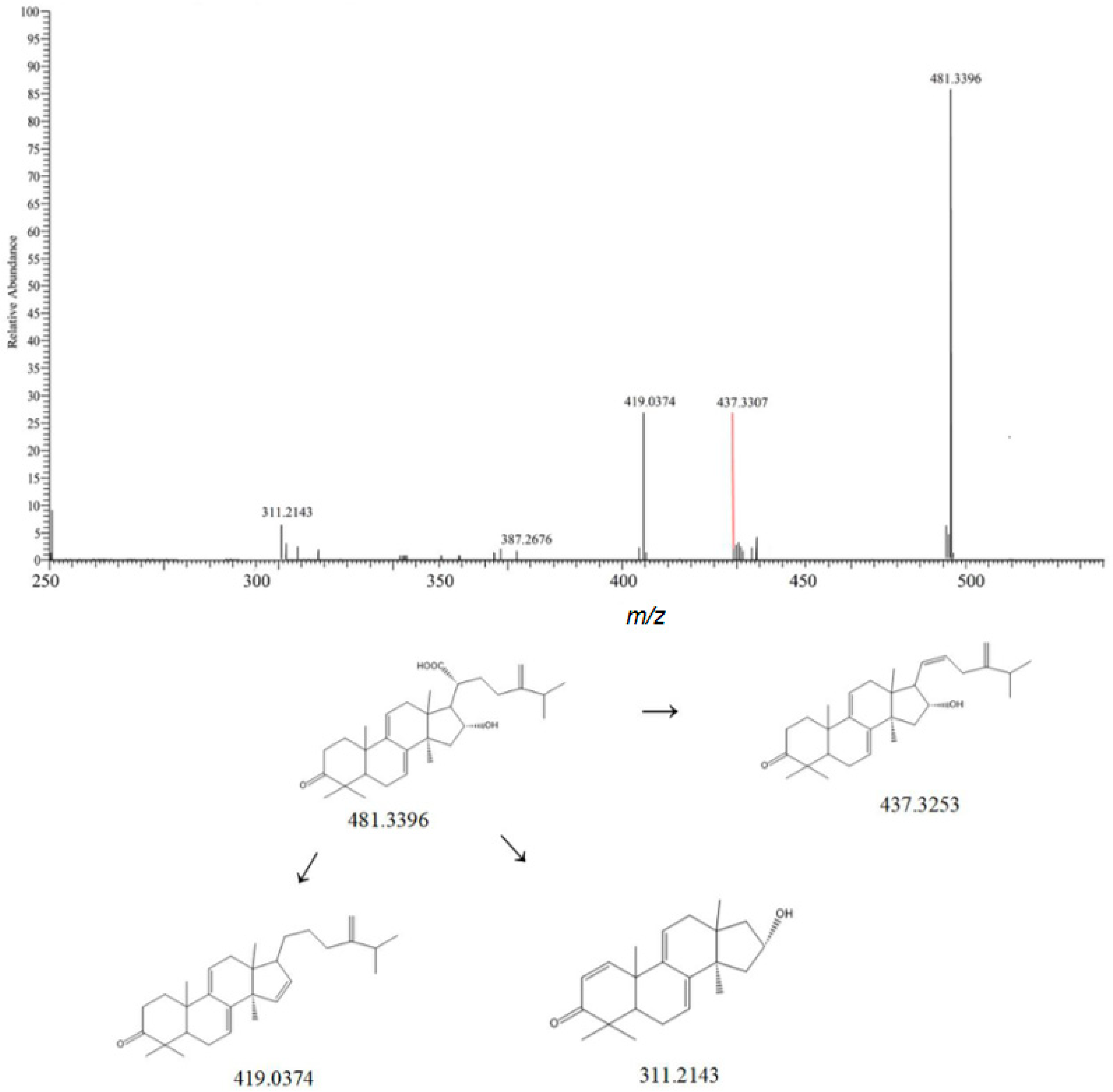 Metabolites 15 00561 g003 Metabolites 15 00561 g003