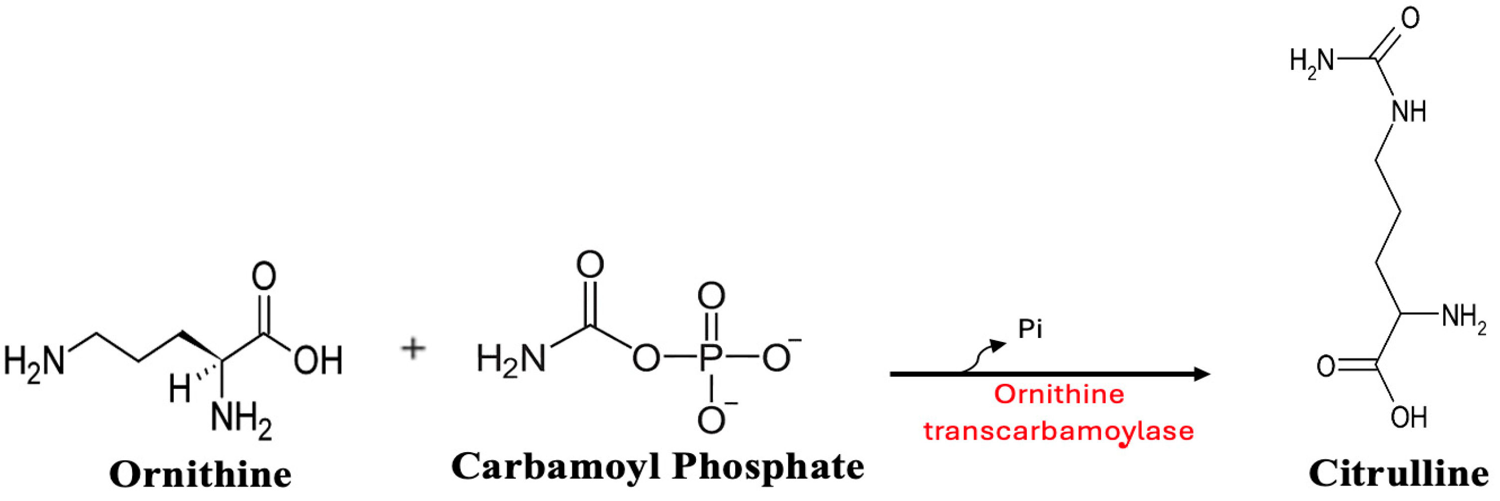 Metabolites 15 00573 g003