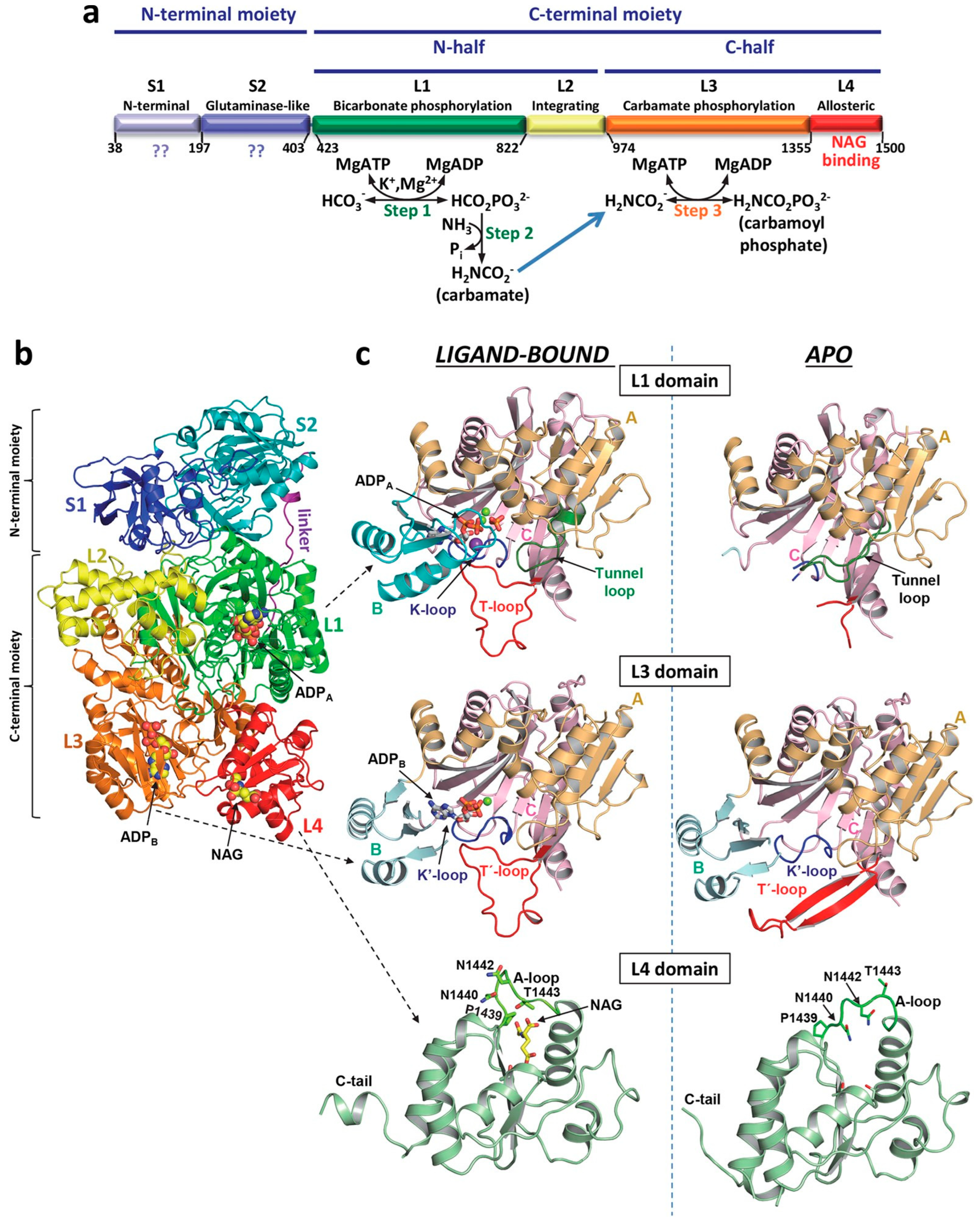 Metabolites 15 00573 g005