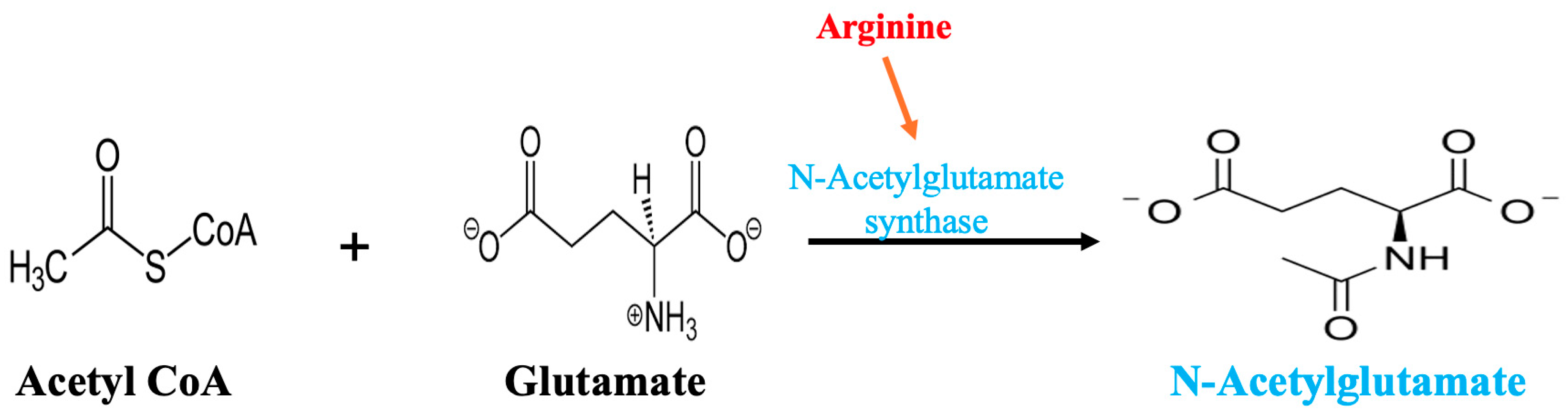 Metabolites 15 00573 g006