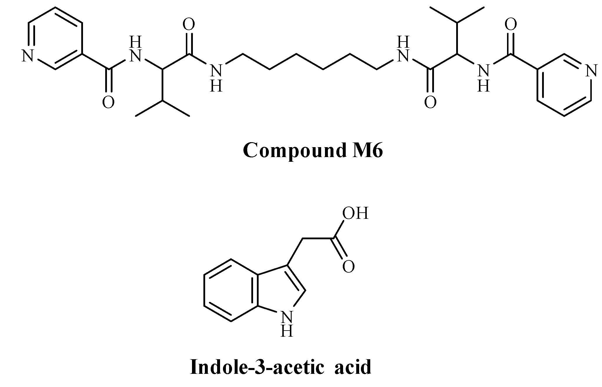 Metabolites 15 00579 g001