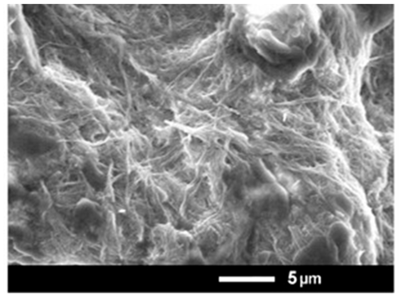 Metabolites 15 00579 g002