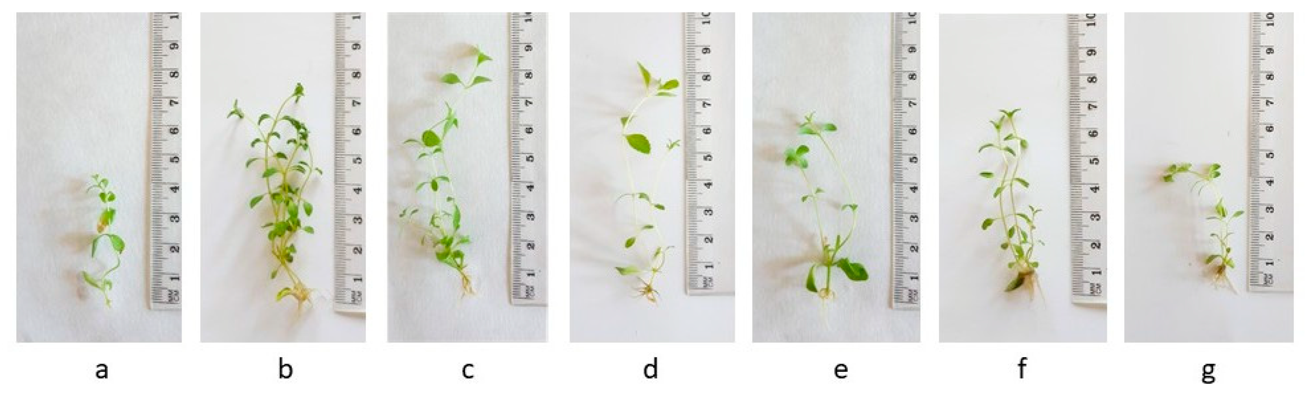 Metabolites 15 00579 g003