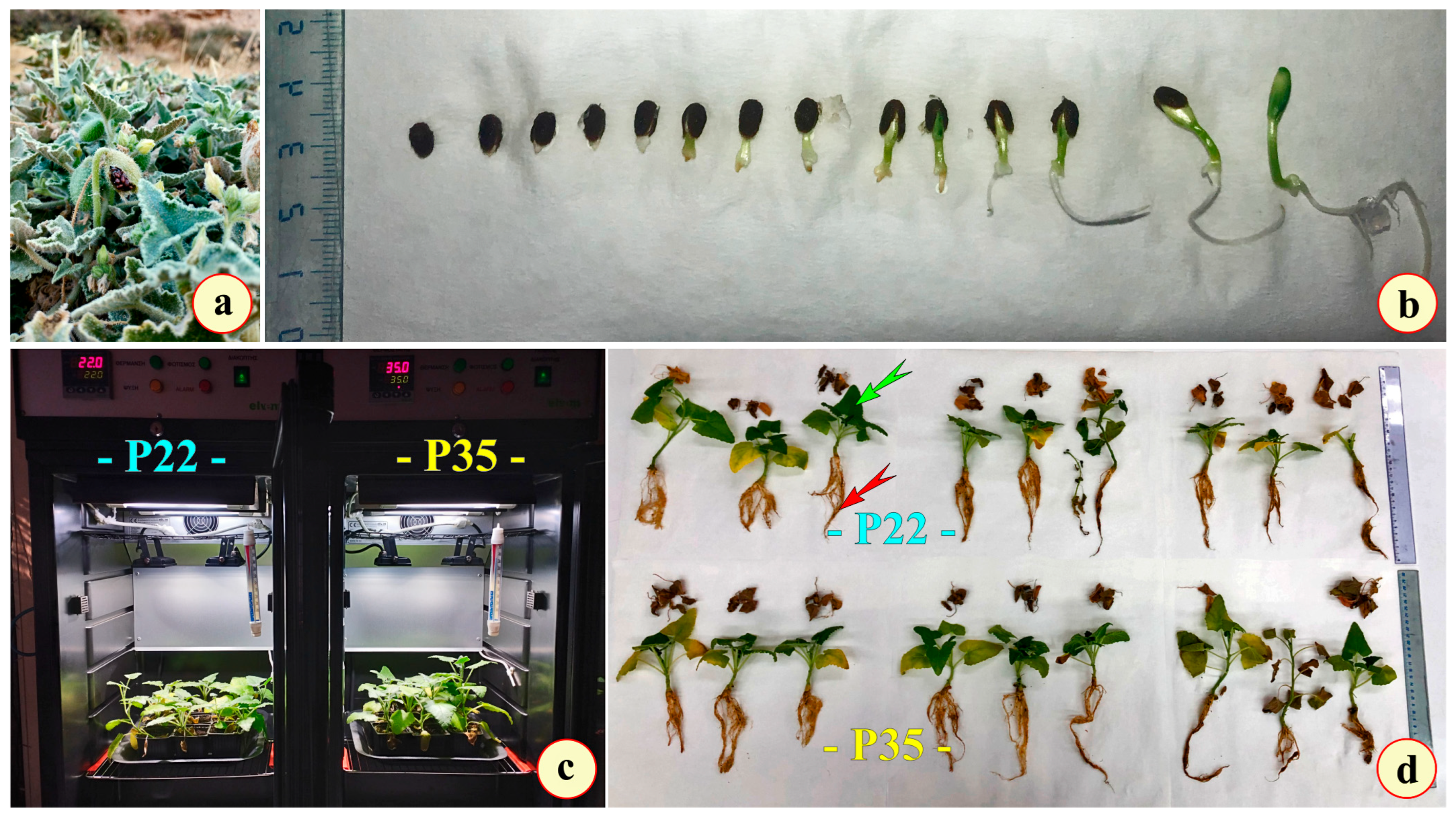 Metabolites 15 00585 g001