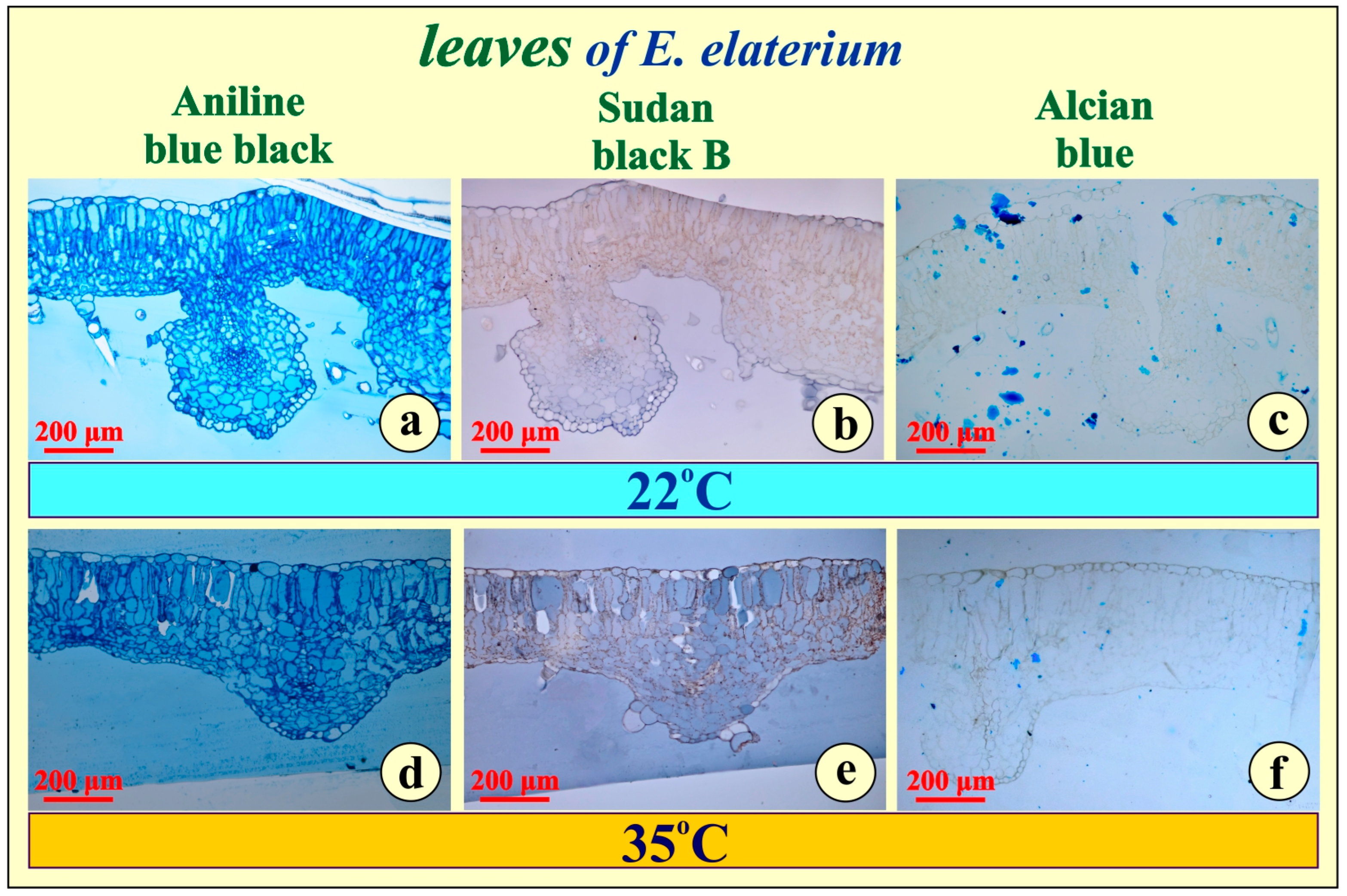 Metabolites 15 00585 g003
