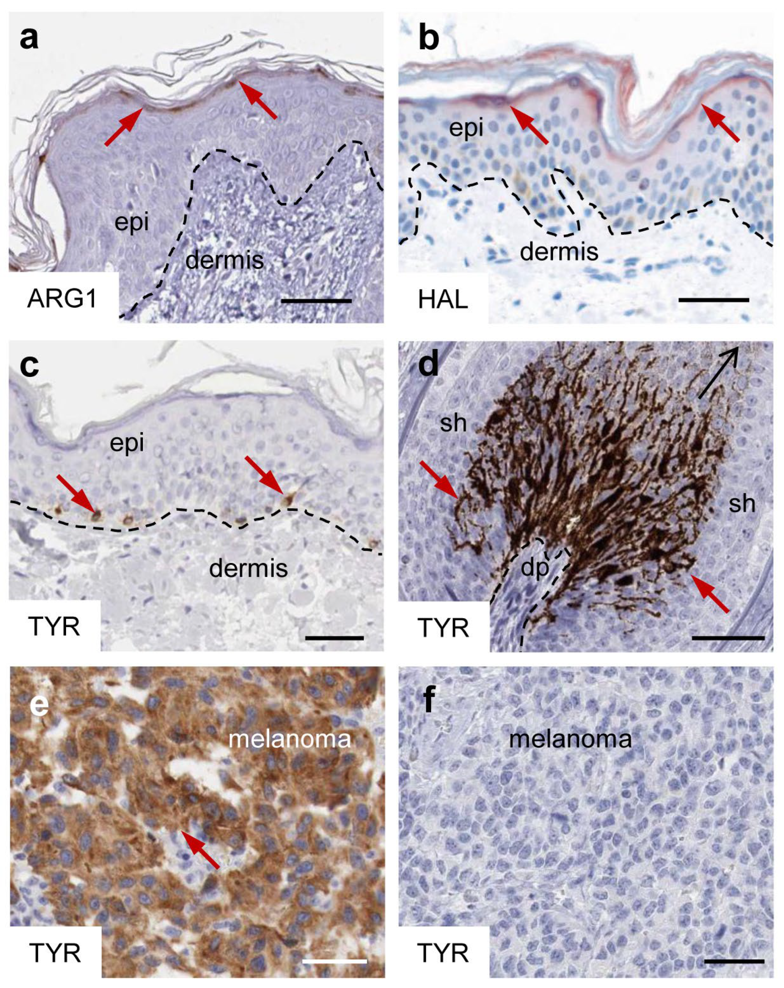 Metabolites 15 00601 g002