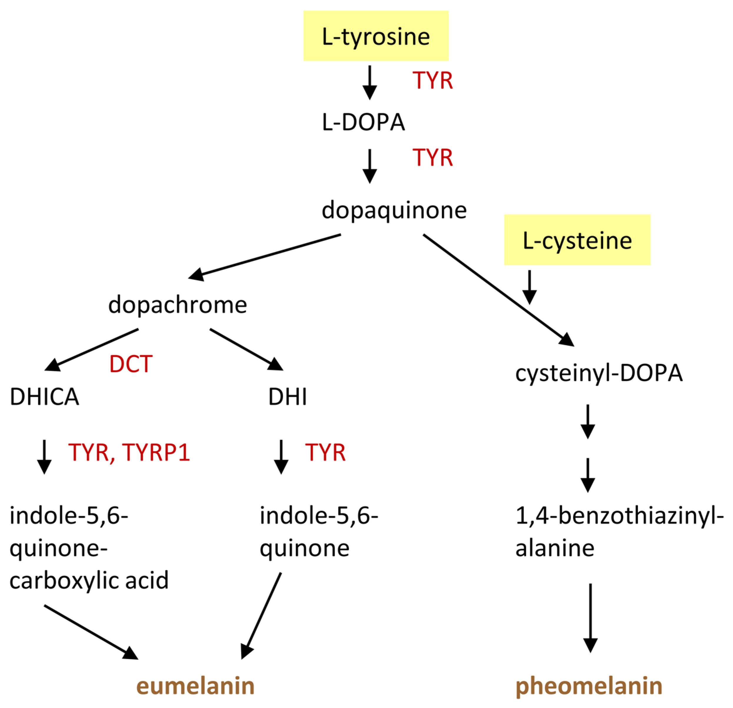 Metabolites 15 00601 g006